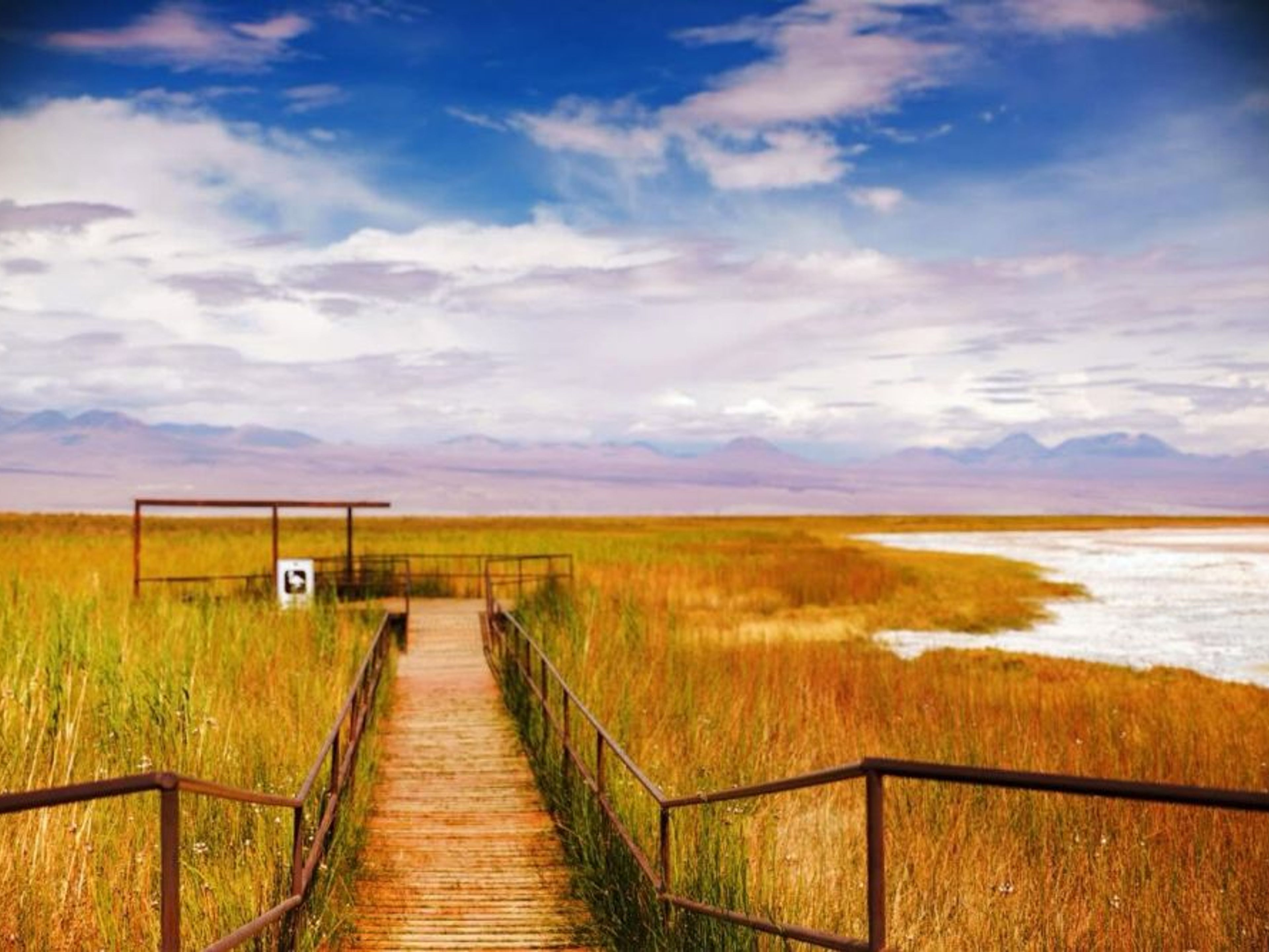 Excursão “LAGOA CEJAR, OJOS DEL SALAR E LAGOA TEBENQUICHE”. null