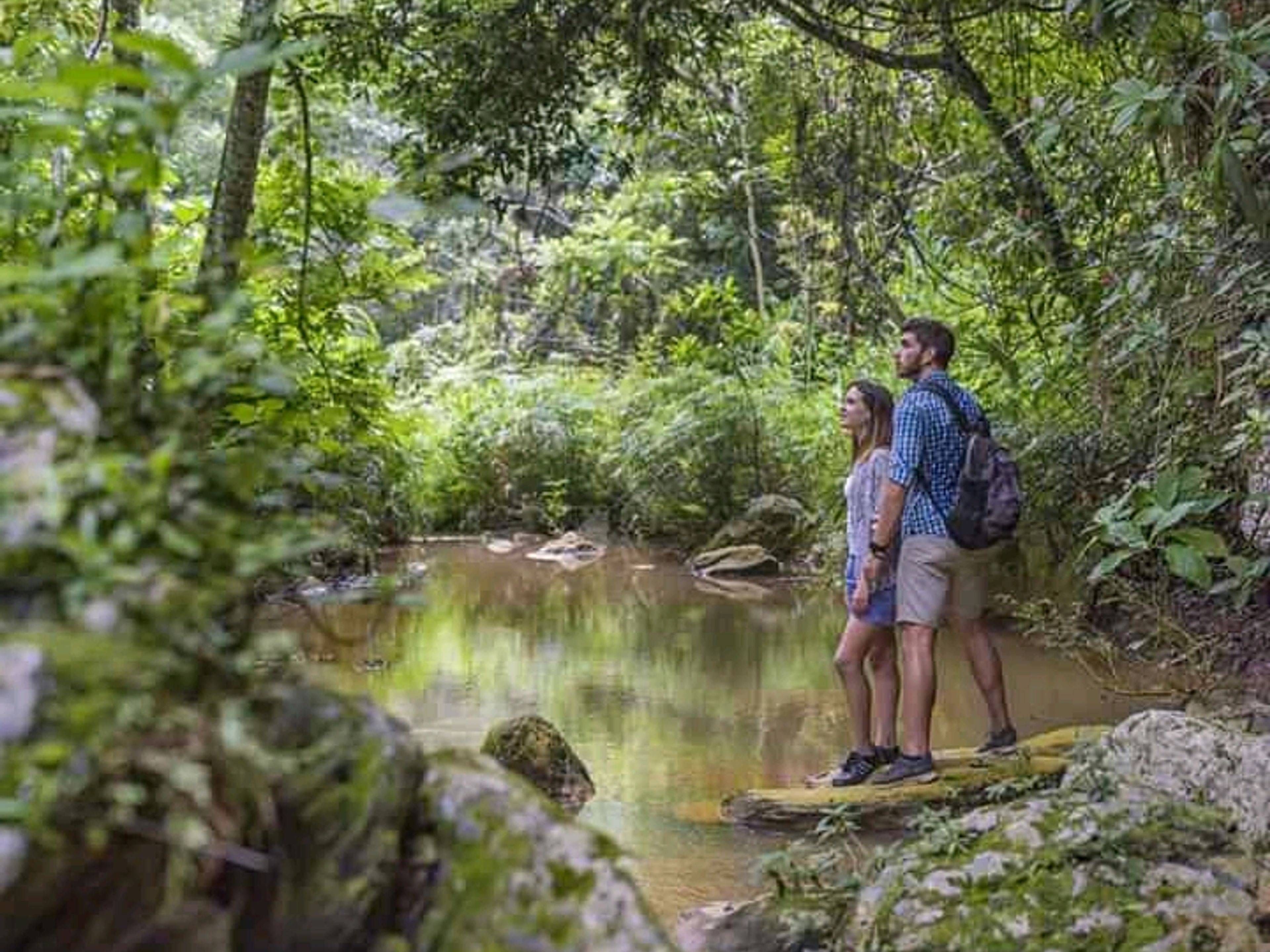 Jeep Safari “NATURE TOUR NICHO - TRINIDAD”. El Nicho Water Falls, Topes de Collantes natural park.
