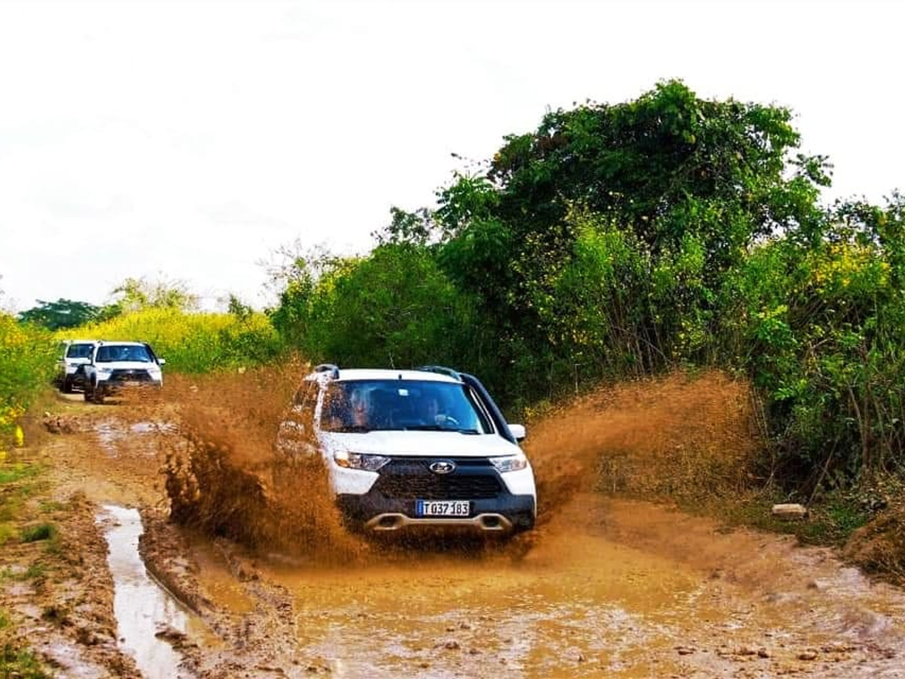 Jeep Safari “NATURE TOUR NICHO - TRINIDAD”