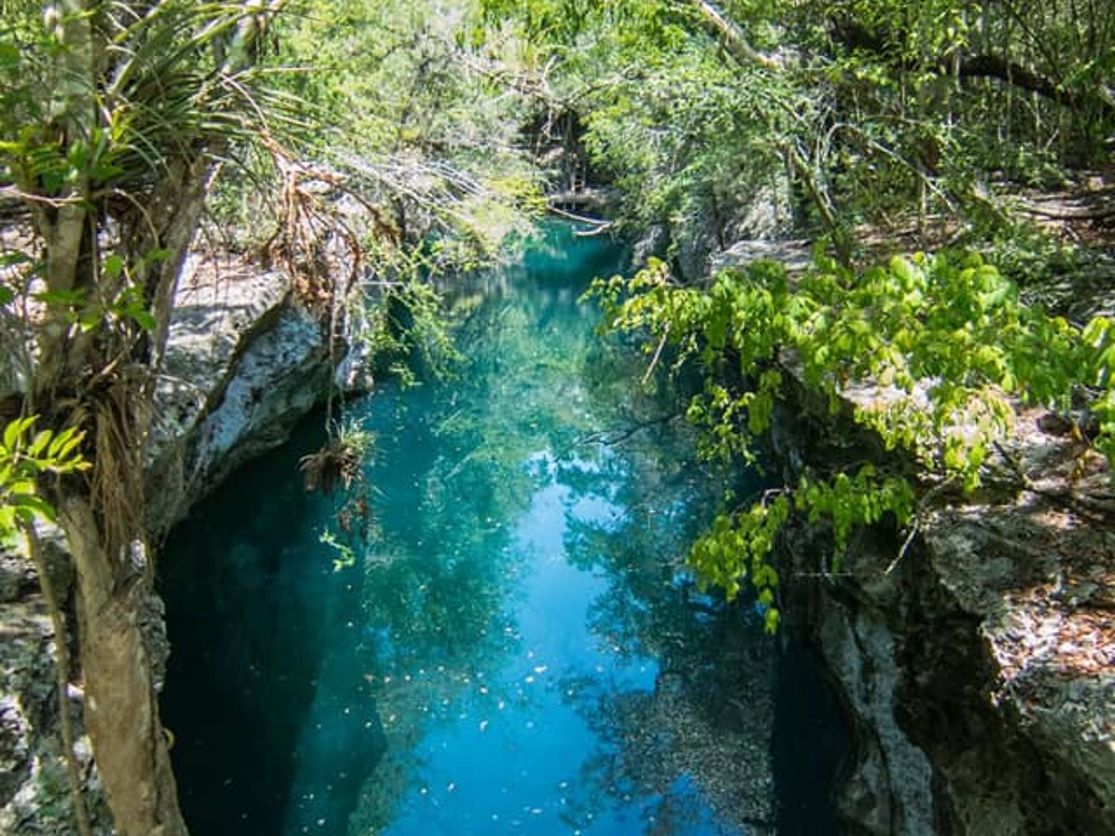 "ENIGMA DE LAS ROCAS TRAIL + SCHNORCHELN IN BAHIA DE COCHINOS" Tour. null