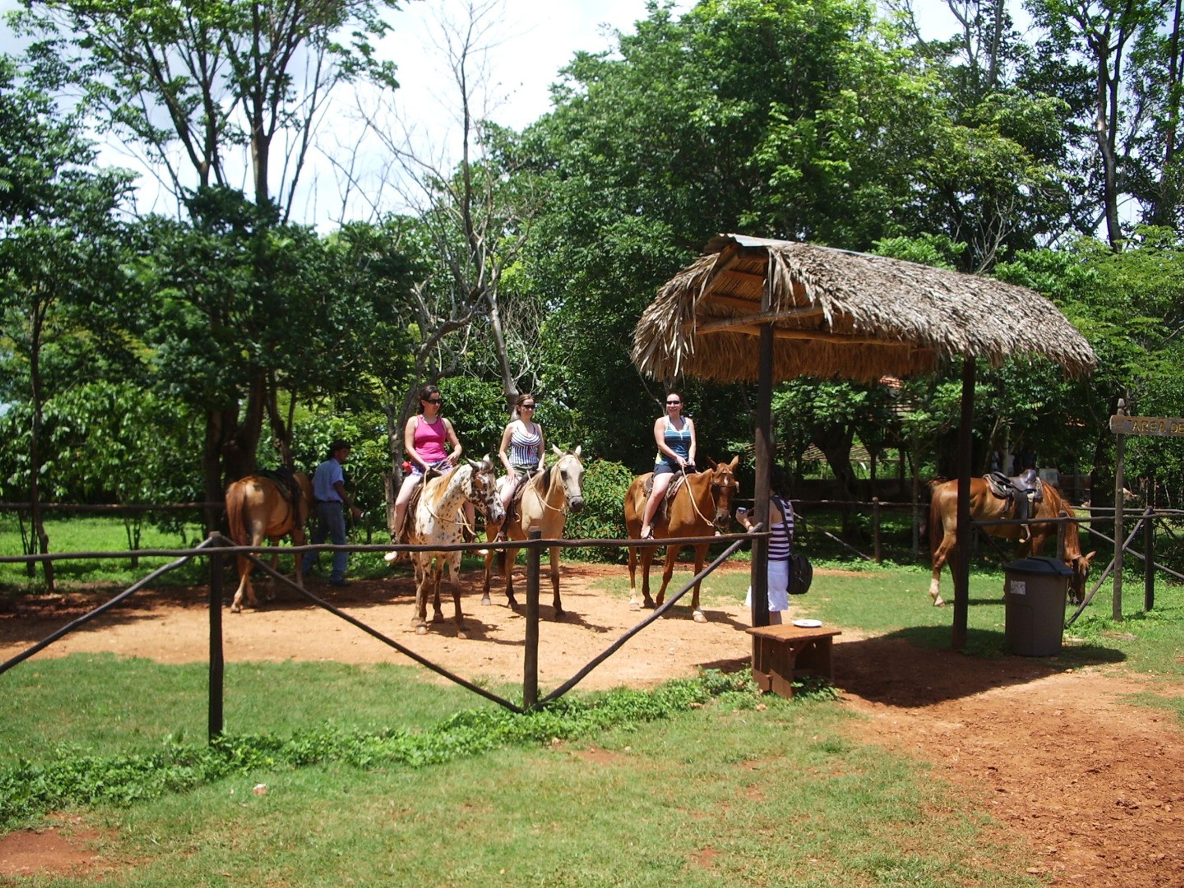Jeep Safari “NATURE TOUR JIBACOA”. Horses riding in La Dionisia Farm, Old Coffee Plantation