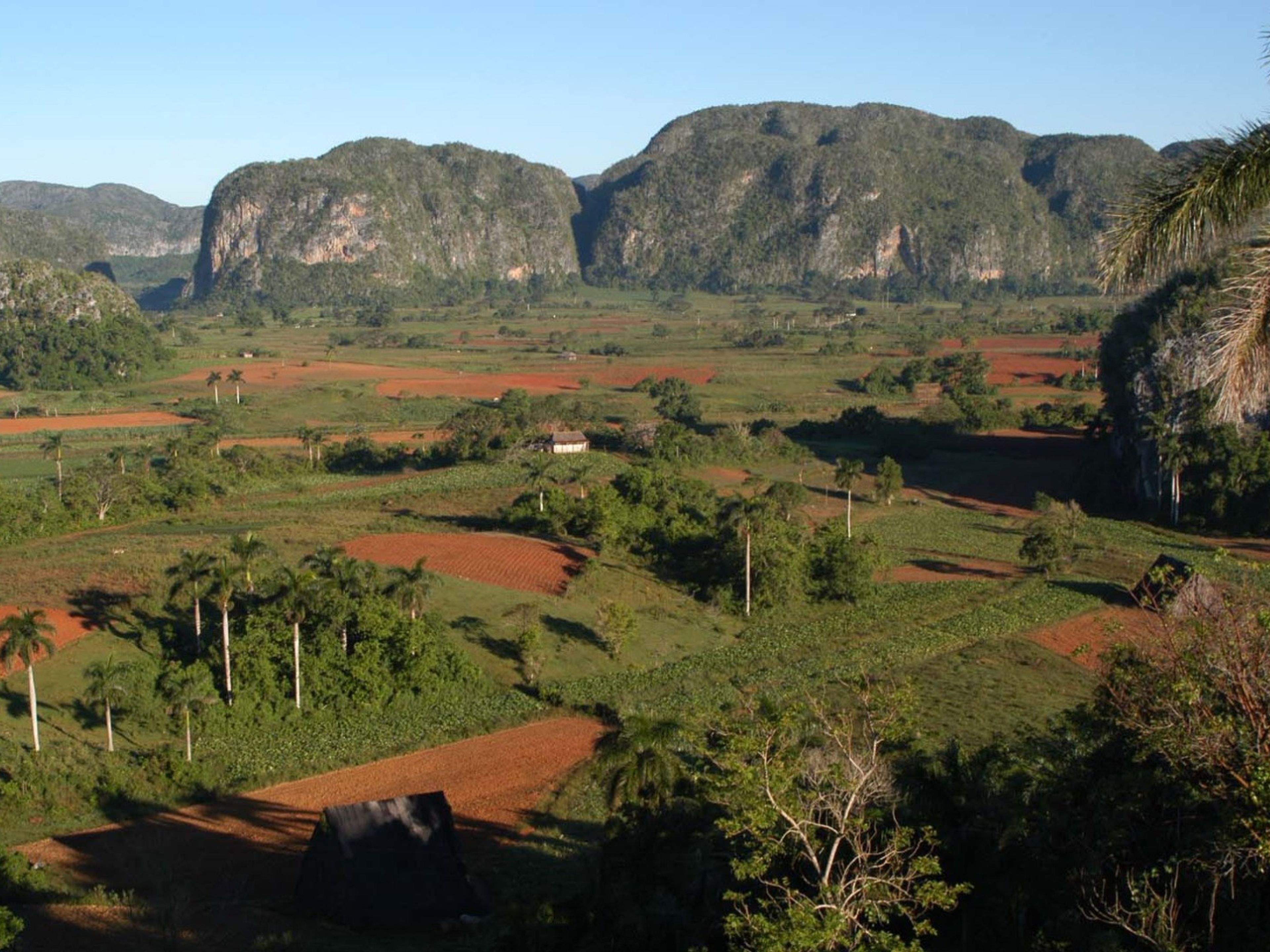 Excursión “VISITA A PINAR DEL RÍO”