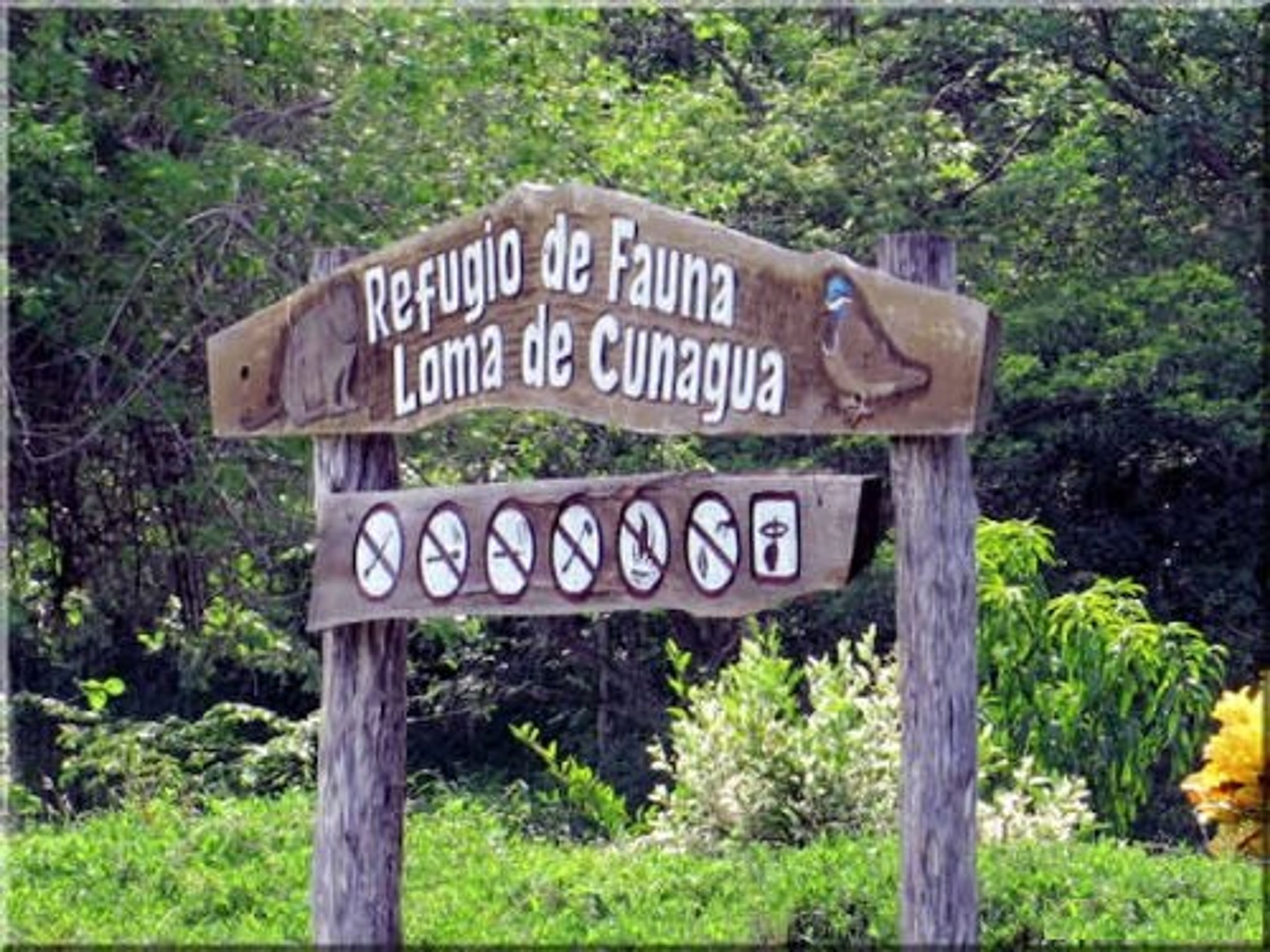 Jeep Safari "NATURE TOUR LOMA DE CUNAGUA". Loma de Cunagua, Ciego de Ávila, Cuba.