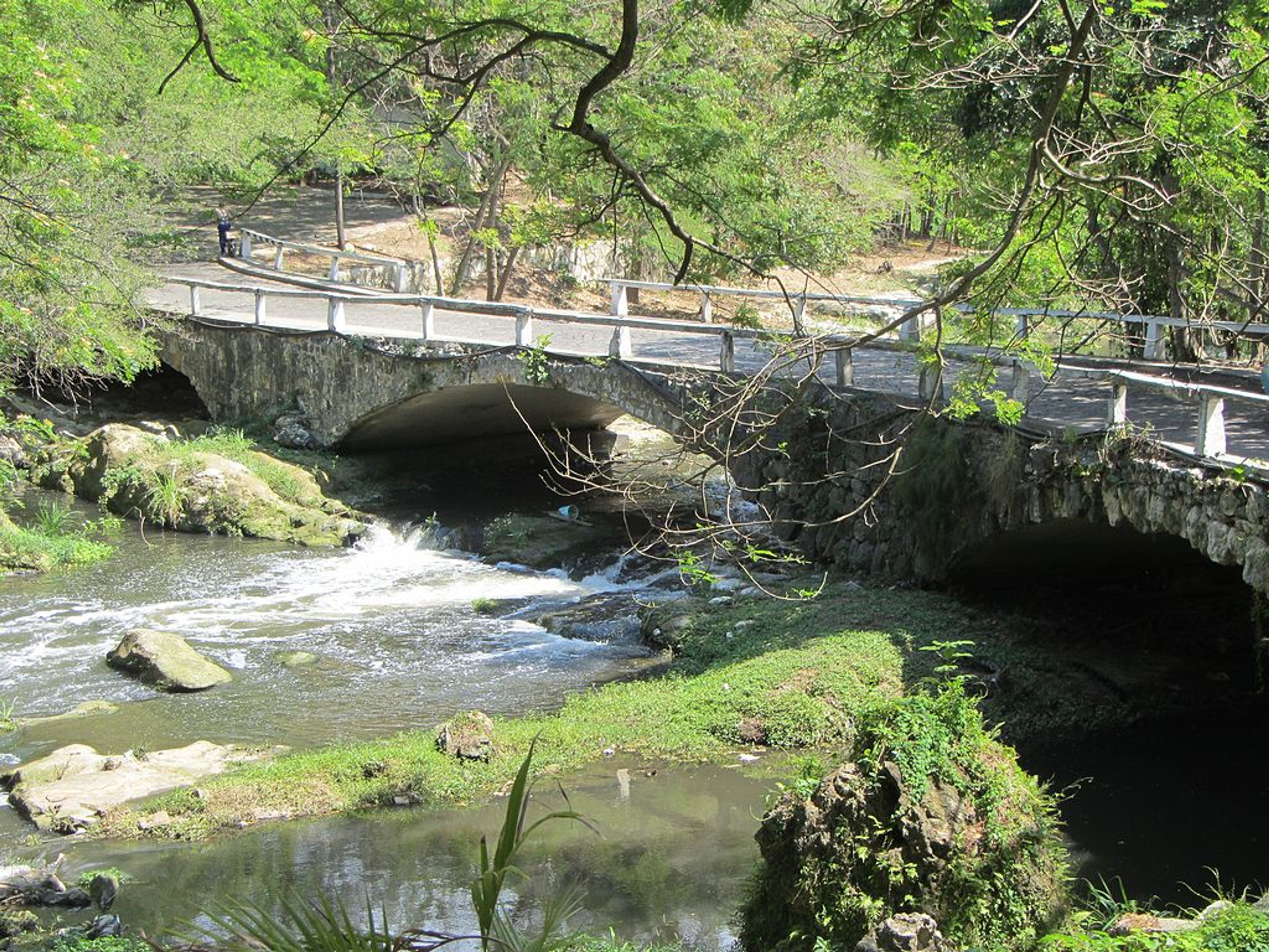 Excursión “Foto Safari de Naturaleza, Parque Metropolitano Almendares”. Almendares Metropolitan Park, Nuevo Vedado, Havana, Cuba. "Almendares Metropolitan Park, Nature Photo Safari" Tour
