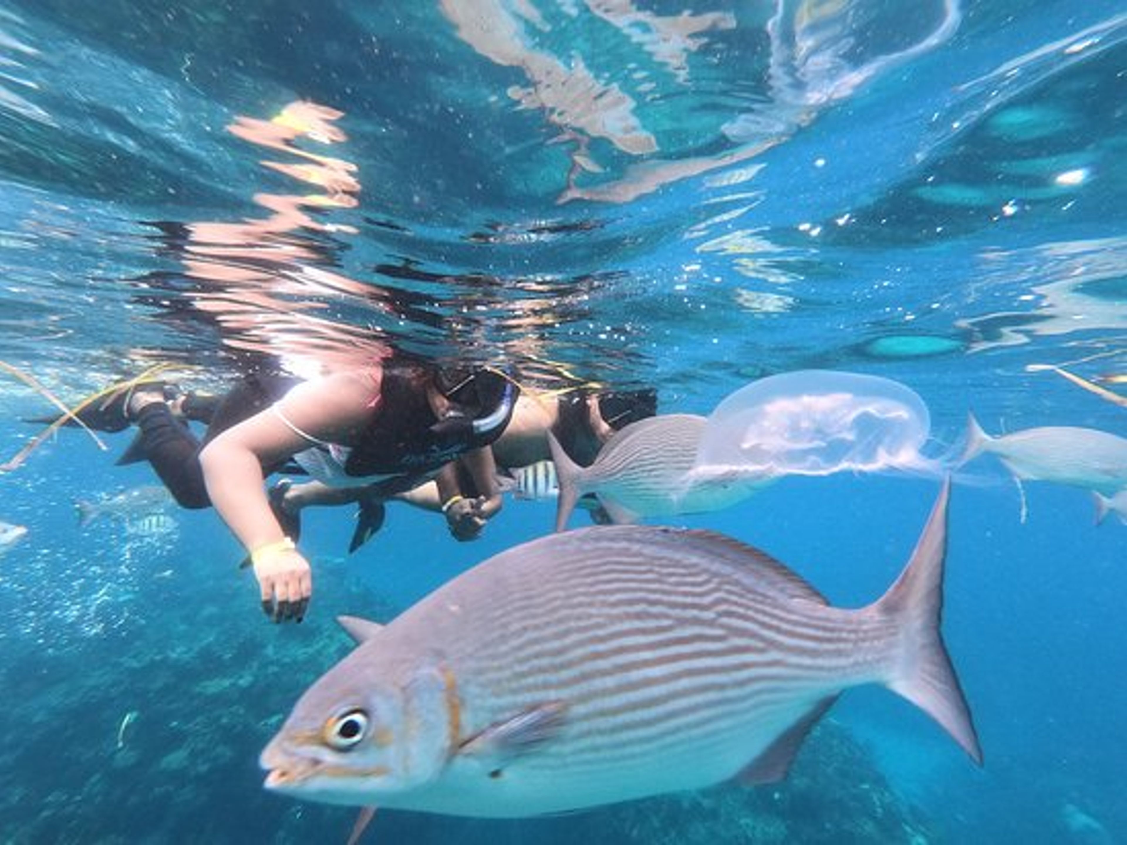 Джип-сафари "ВАРАДЕРО (ПОЛОВИНА ДНЯ". Maya Lagoon, Matanzas, Cuba