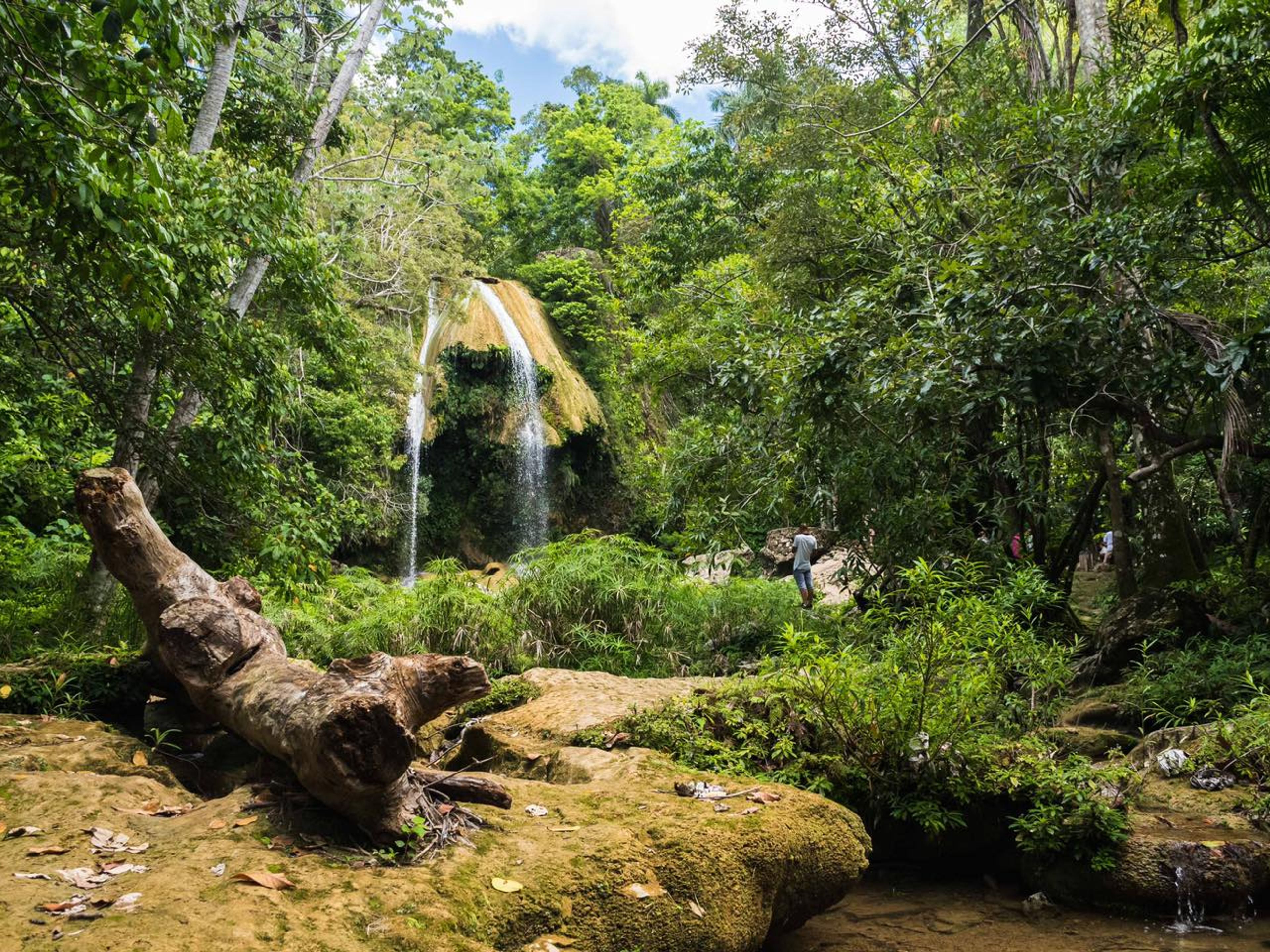 "REPTILIENBEOBACHTUNGSPFAD IM SOROA NATURAL PARK" Tour. "REPTILE OBSERVATION TRAIL IN SOROA NATURAL PARK" Tour, Artemisa, Cuba.