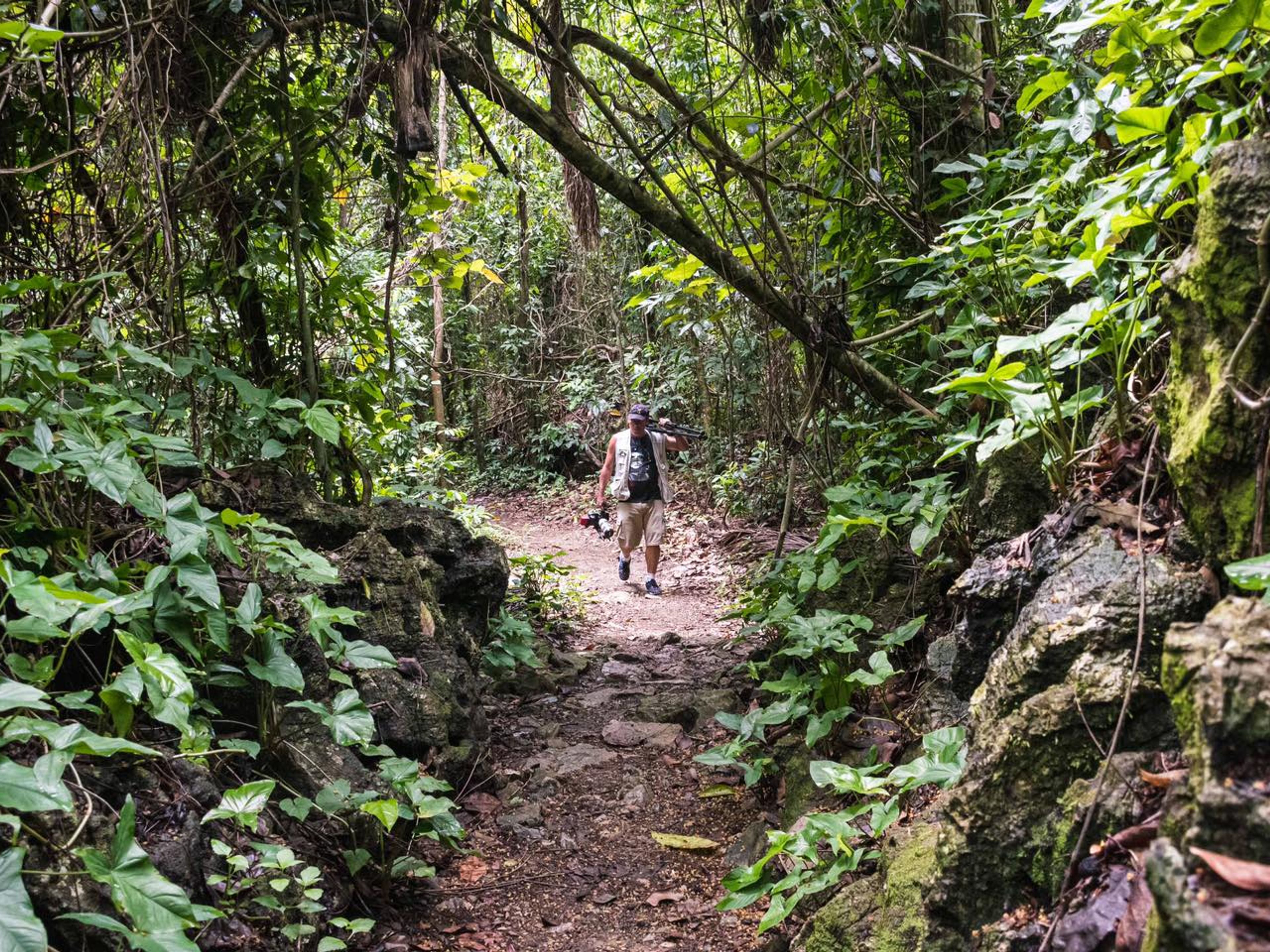 "REPTILIENBEOBACHTUNGSPFAD IM SOROA NATURAL PARK" Tour. "REPTILE OBSERVATION TRAIL IN SOROA NATURAL PARK" Tour, Artemisa, Cuba.