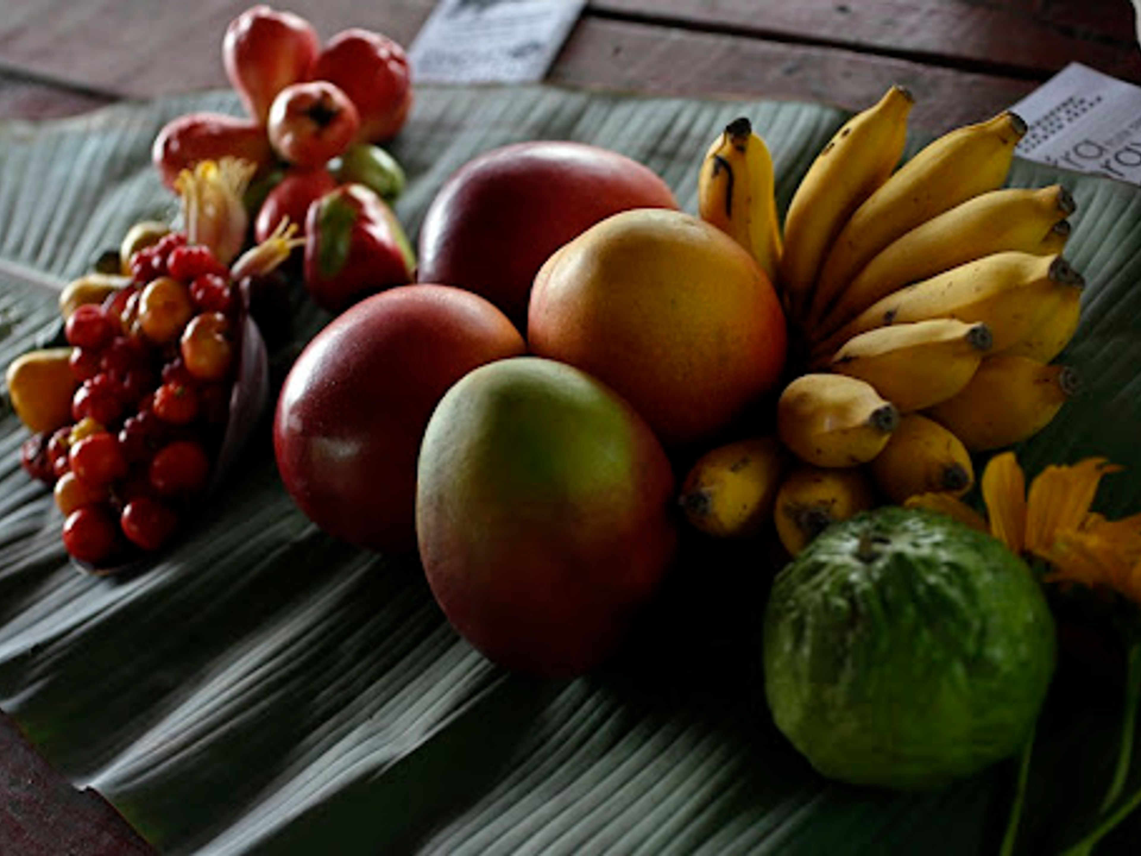 Jeep Safari "TOUR FOTOGRAFICO". Jeep Safari "PHOTO TOUR", Pilón, Granma, Cuba.