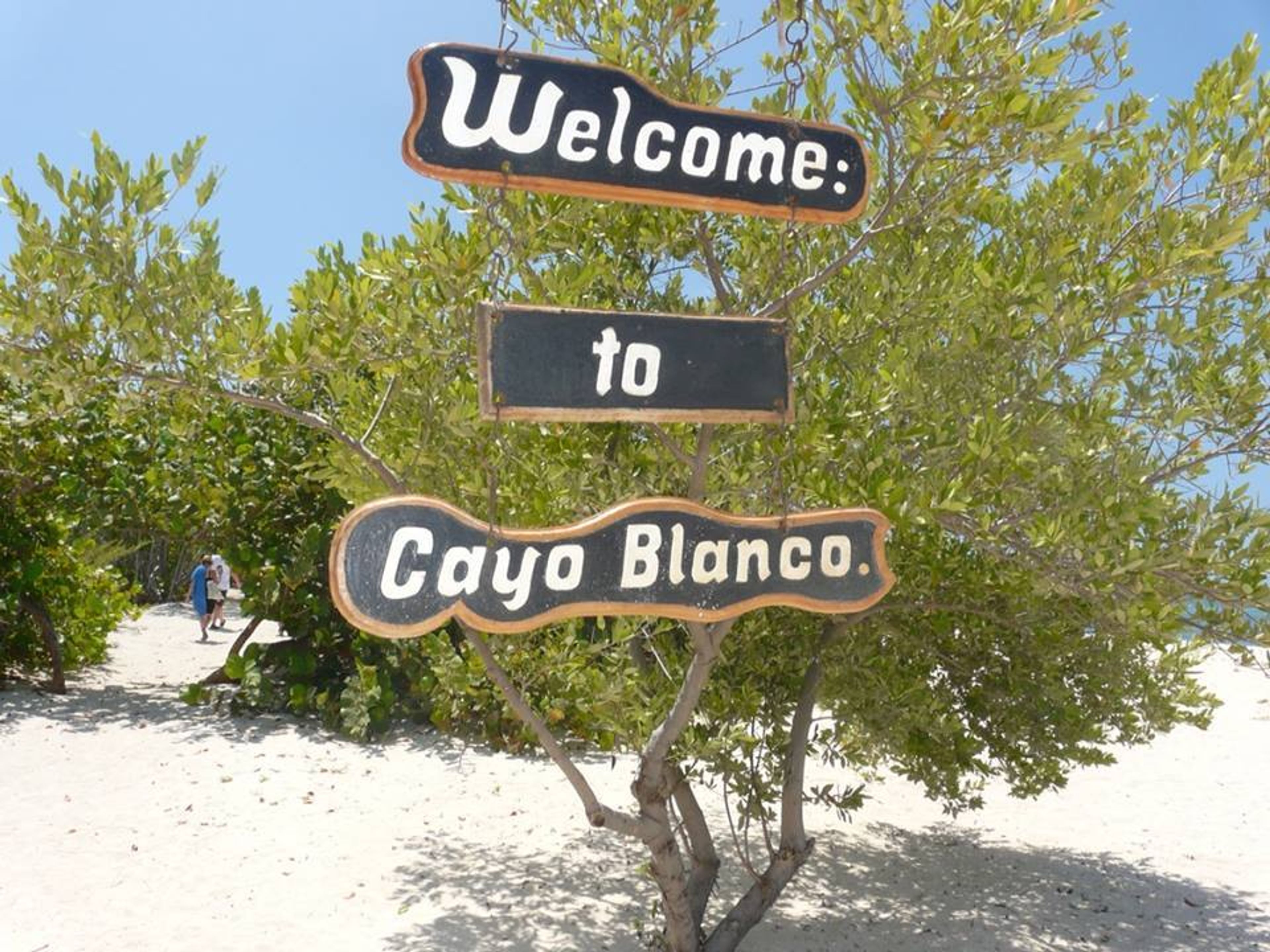 Tour "SEAFARI CAYO BLANCO DE MAREA DEL PORTILLO". "SEAFARI CAYO BLANCO FROM MAREA DEL PORTILLO" Tour, Pilón, Granma, Cuba.