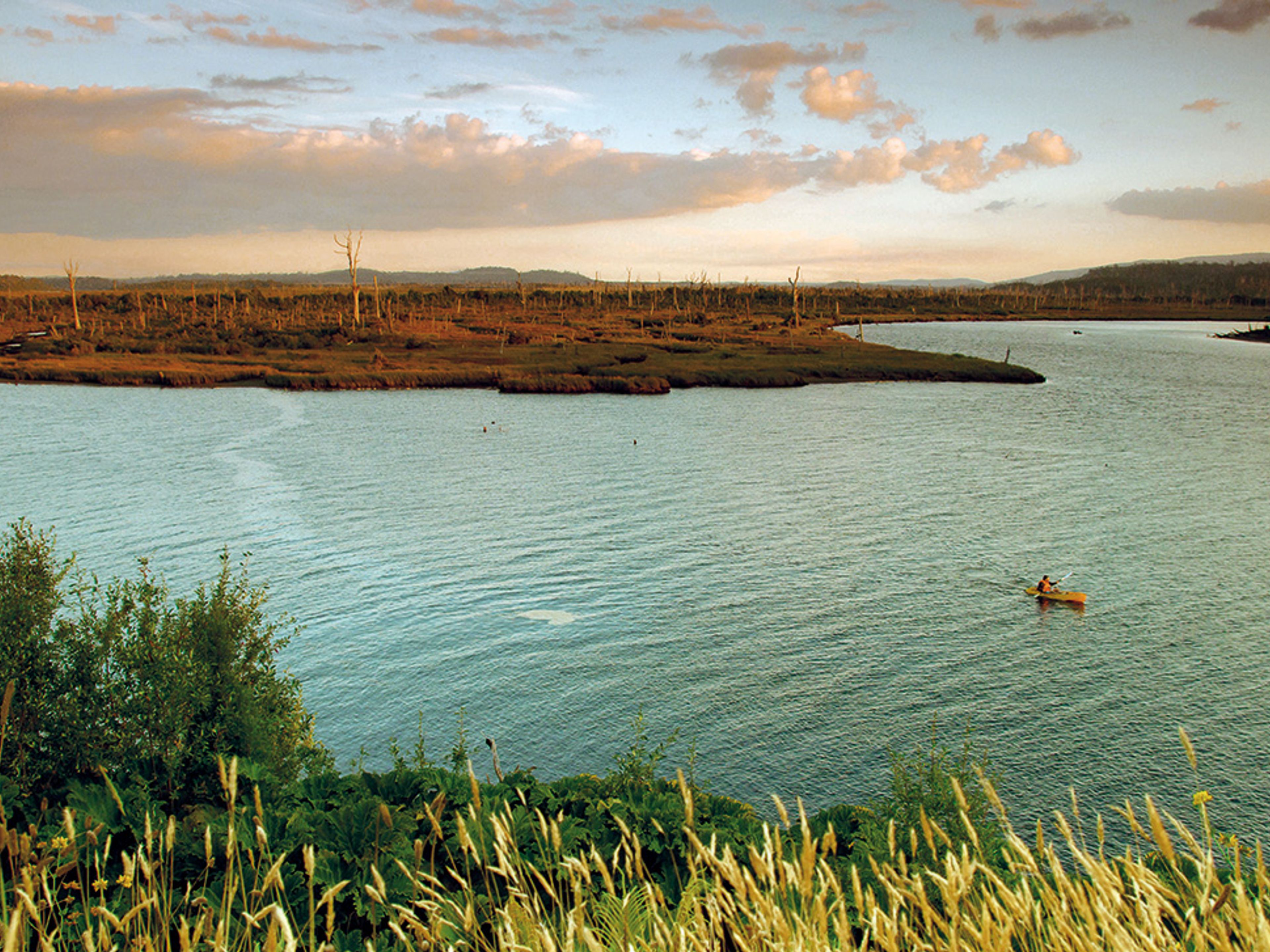 “KAYAK IN CHEPU & TREKKING IN THE FOREST” TOUR.