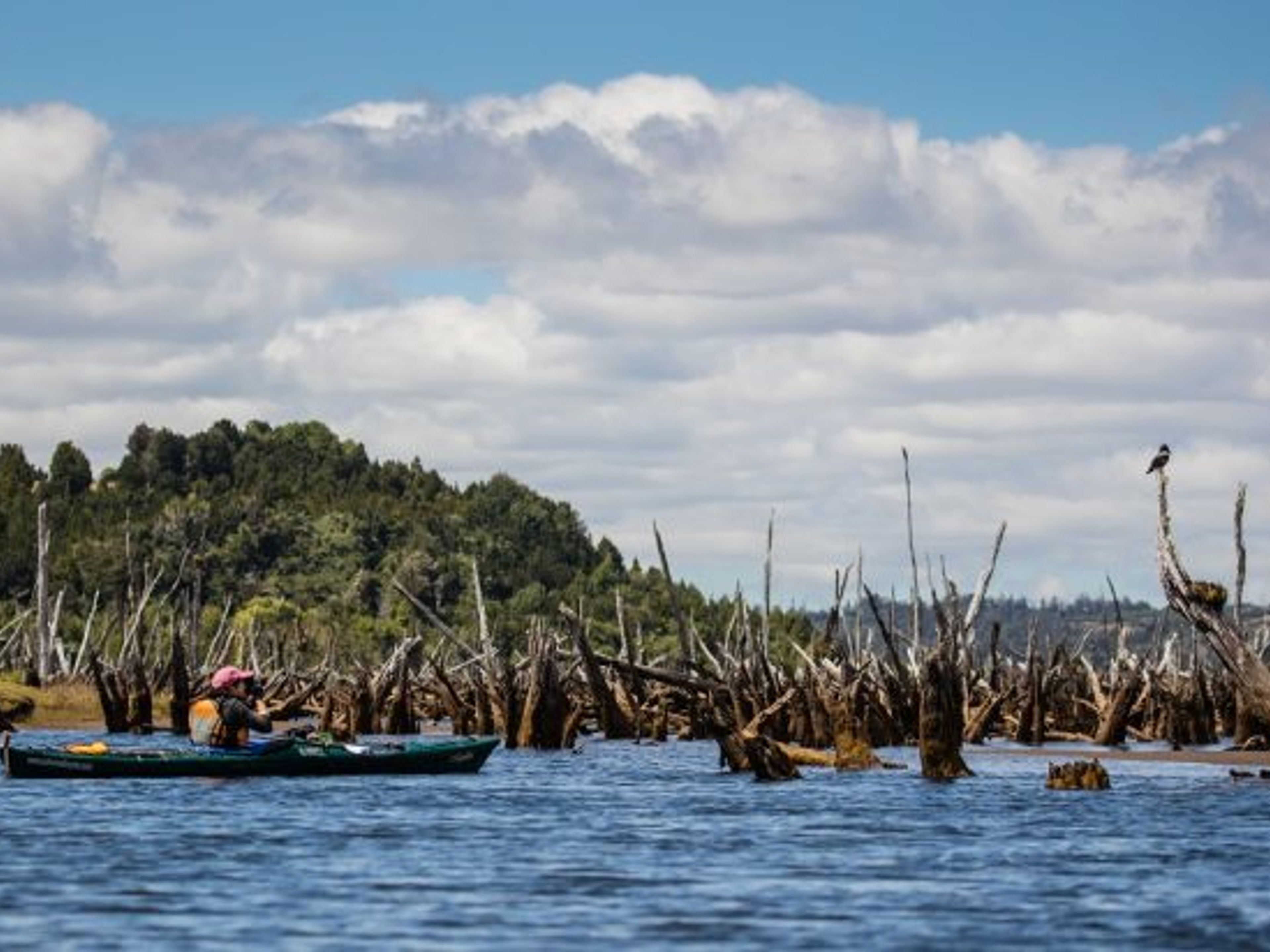 “KAYAK IN CHEPU & TREKKING IN THE FOREST” TOUR.. null