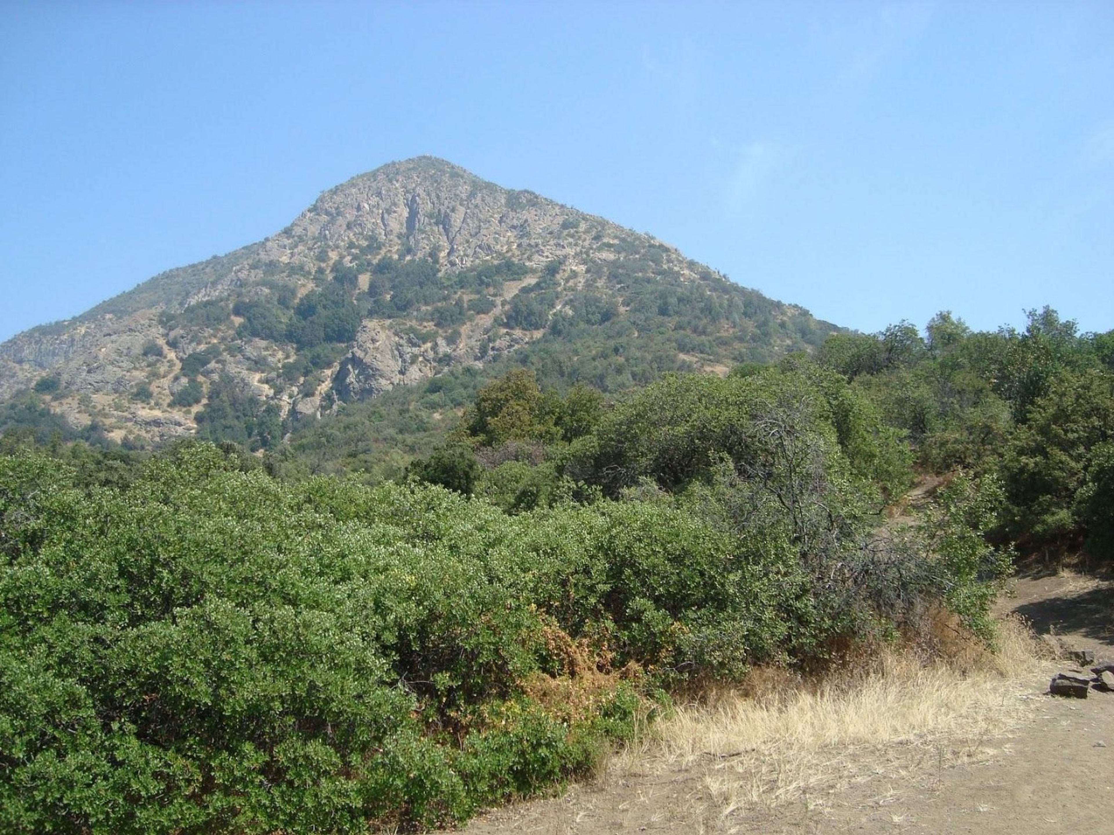 Tур "ПЕШЕХОДНАЯ ПРОГУЛКА К СЕРРО МАНКЕУИТО". “TREKKING TO CERRO MANQUEHUITO” Tour, Chile.