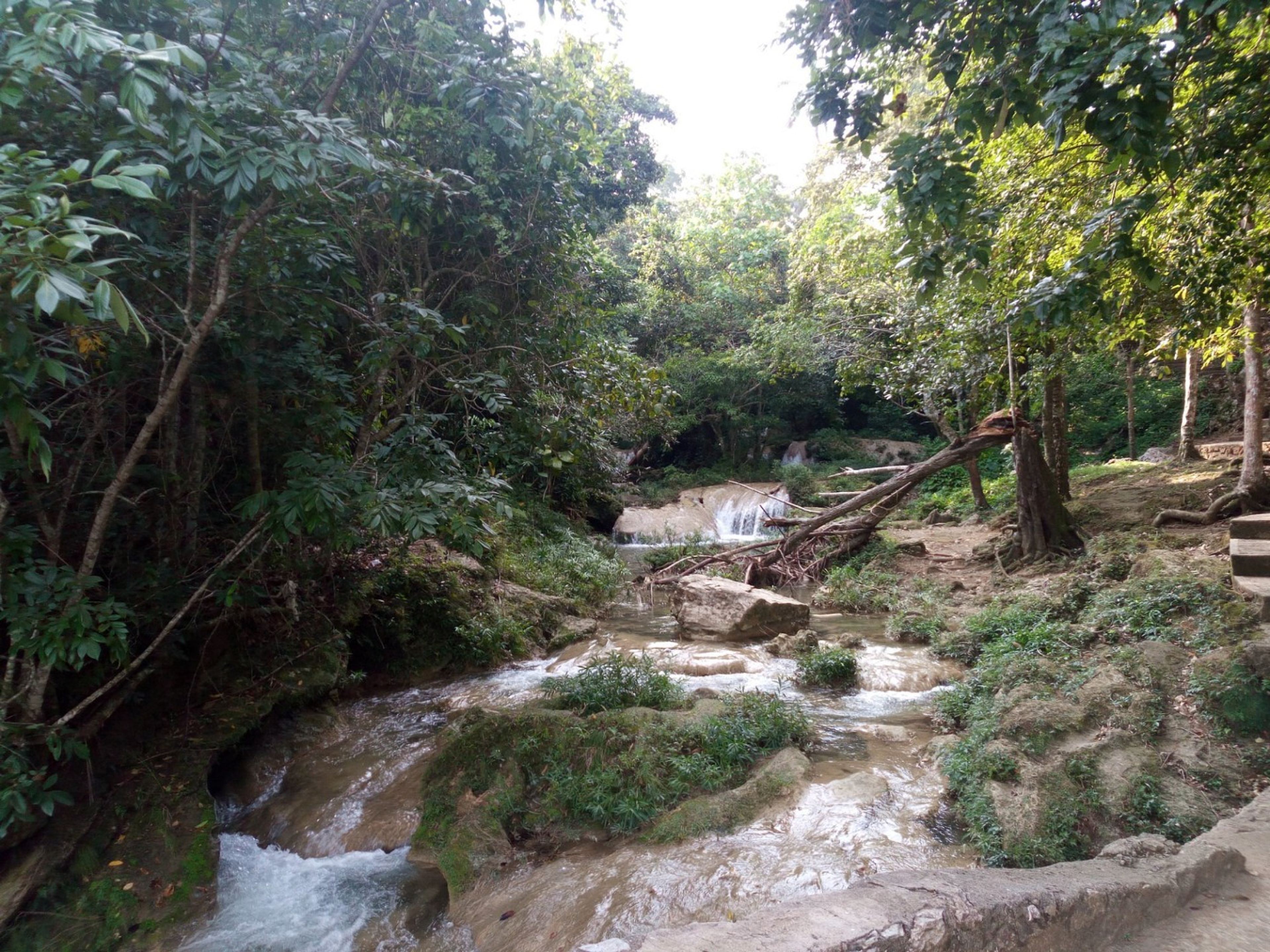 Tур "ТРОПЫ ЧУДЕСА СОРОА". Soroa Natural Park panoramic view, Artemisa, Cuba.