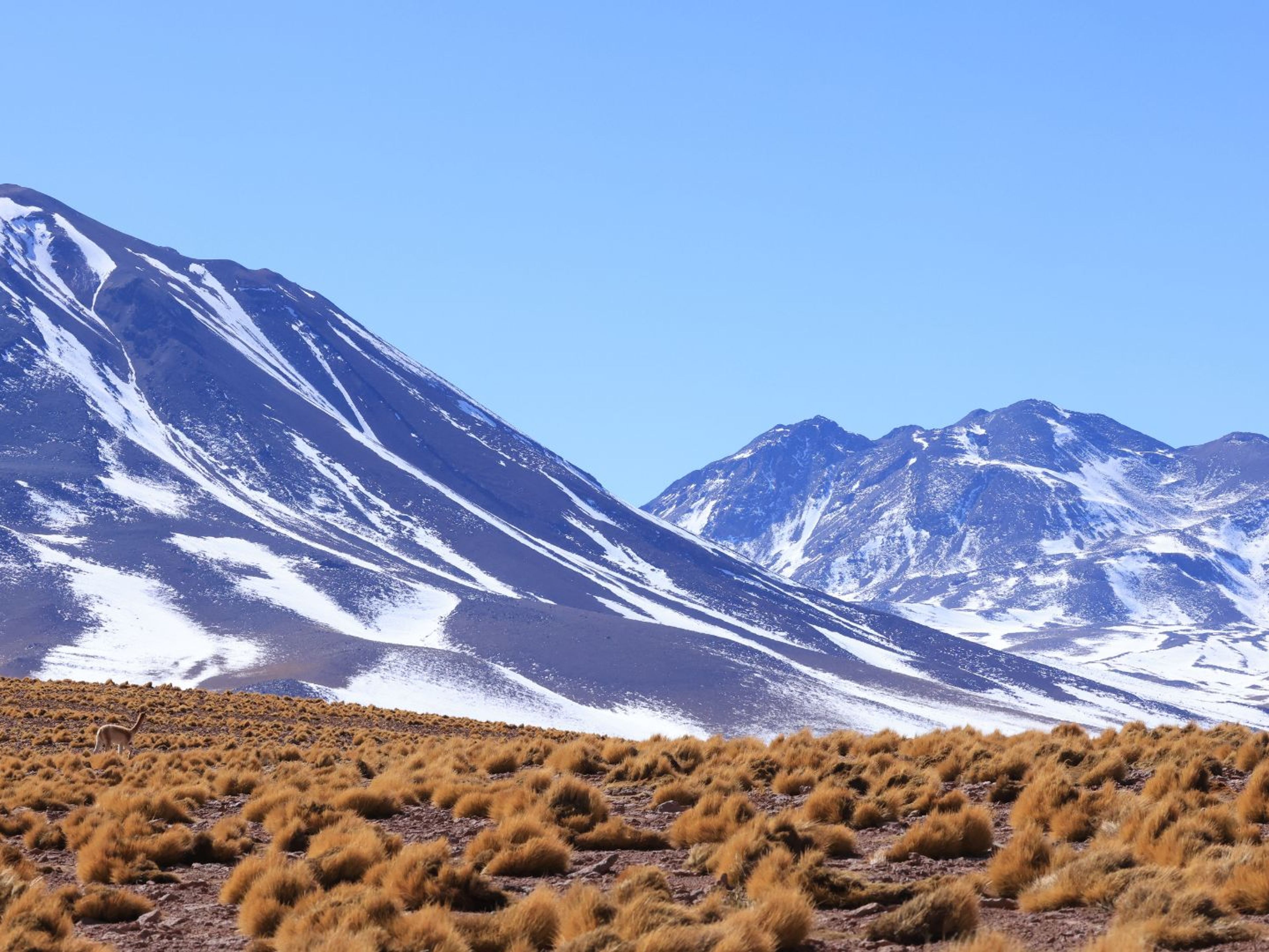 “SALT FLATS ROUTE" Tour. null