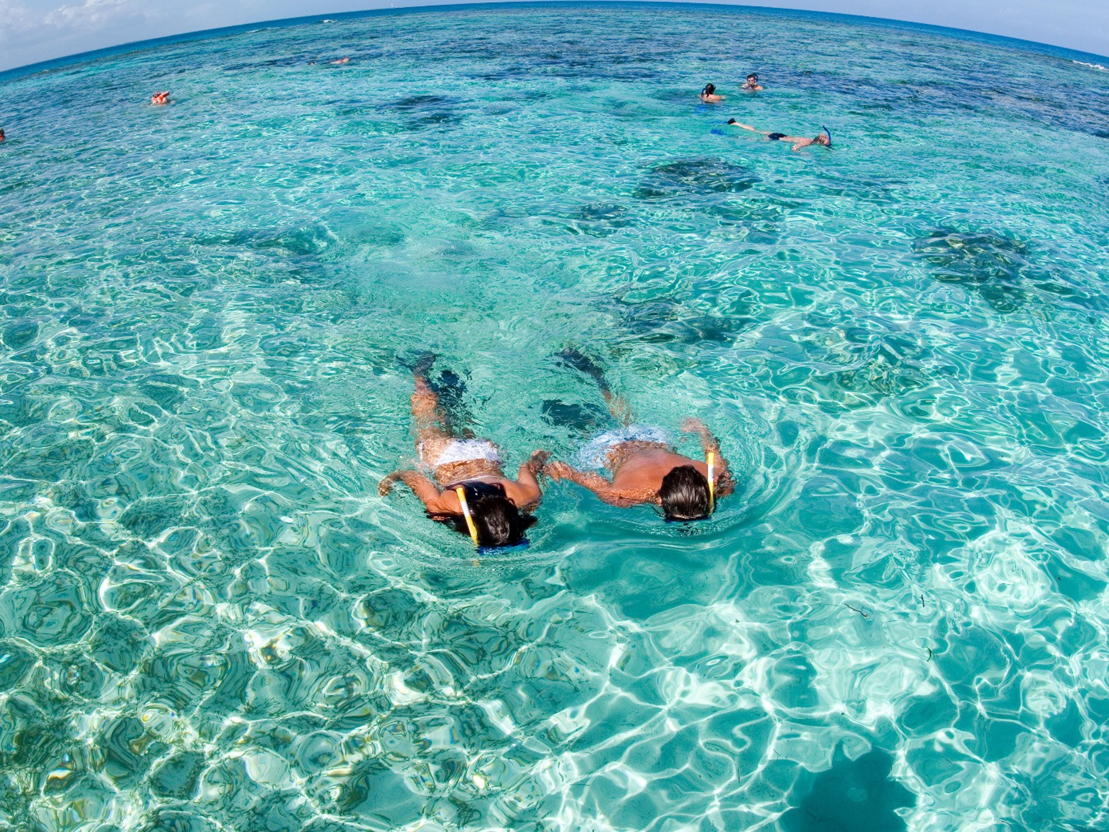 Excursão "SAFARI CAYO MEDIA LUNA". Snorkeling at the coral reef at teh Jardines del Rey