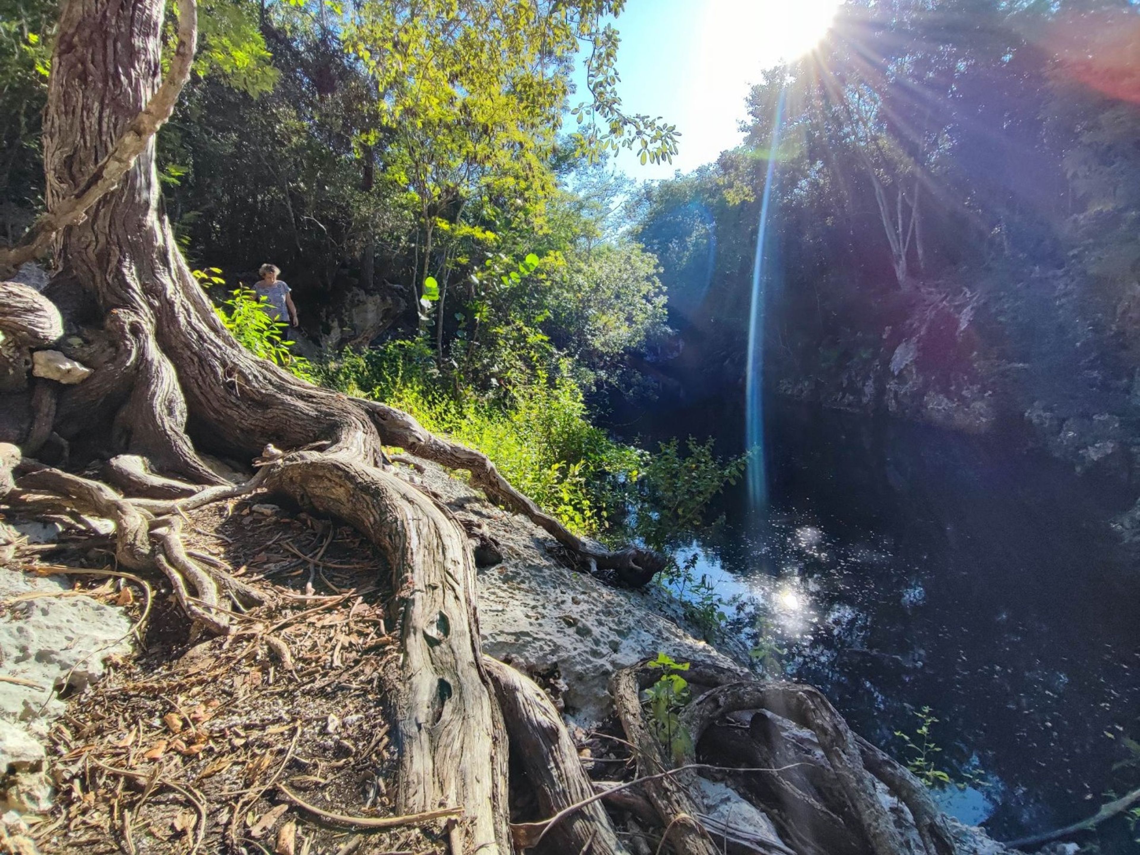 Tур "ПЕЩЕРНЫЙ ДАЙВИНГ - 35-ЛЕТИЕ ПЕЩЕРЫ + ПЕЩЕРА ЭЛЬ БРИНКО, ПОЛУОСТРОВ САПАТА". CAVERN 35TH ANIVERSARIO, Zapata peninzula, Matanzas, Cuba.