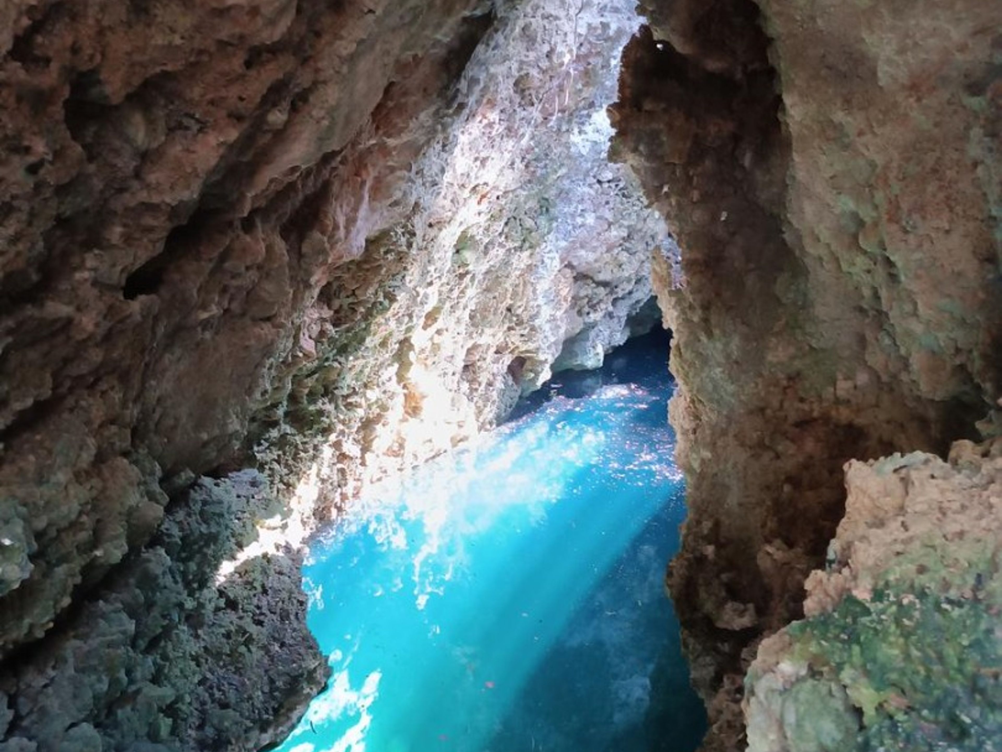 Tour "PLONGÉE SPÉLÉO - CAVERNE 35E ANNIVERSAIRE + CAVERNE EL BRINCO, PÉNINSULE DE ZAPATA". CAVERN EL BRINCO, Zapata peninsula, Matanzas, Cuba.