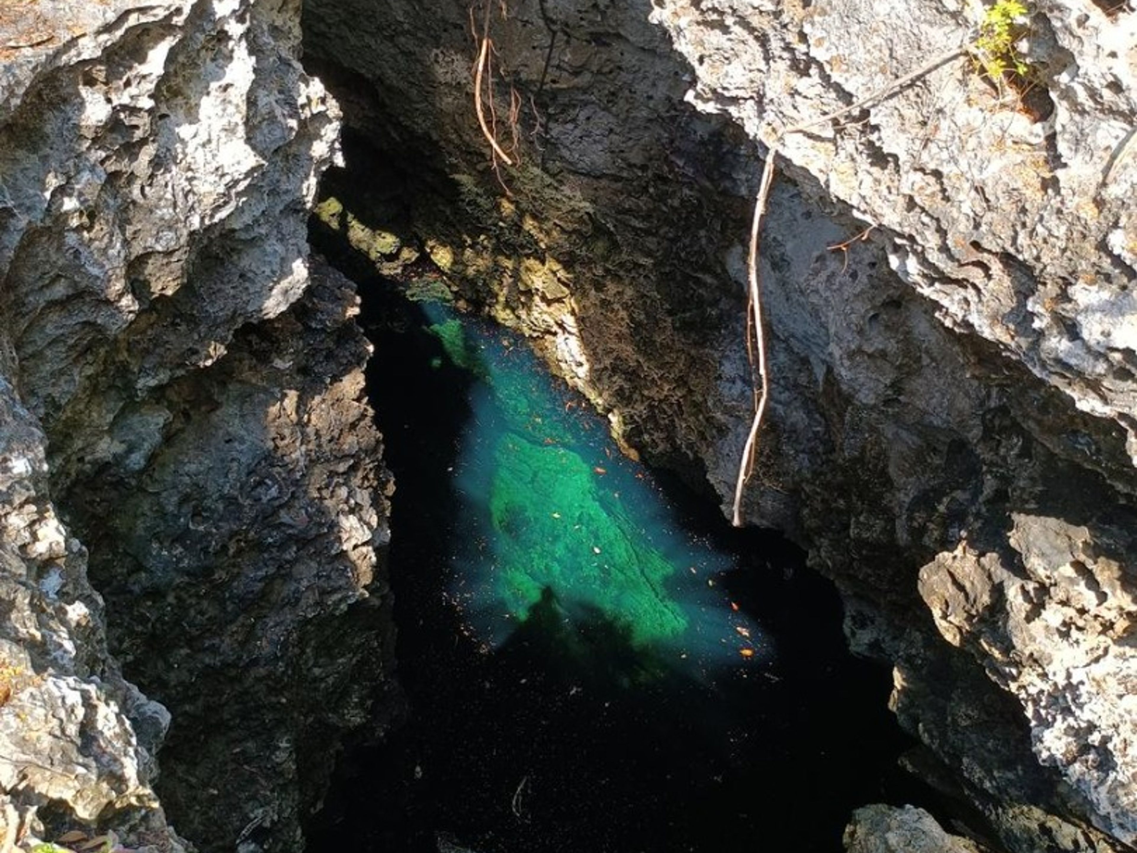 Tур "ПЕЩЕРНЫЙ ДАЙВИНГ - 35-ЛЕТИЕ ПЕЩЕРЫ + ПЕЩЕРА ЭЛЬ БРИНКО, ПОЛУОСТРОВ САПАТА". CAVERN EL BRINCO, Zapata peninsula, Matanzas, Cuba.