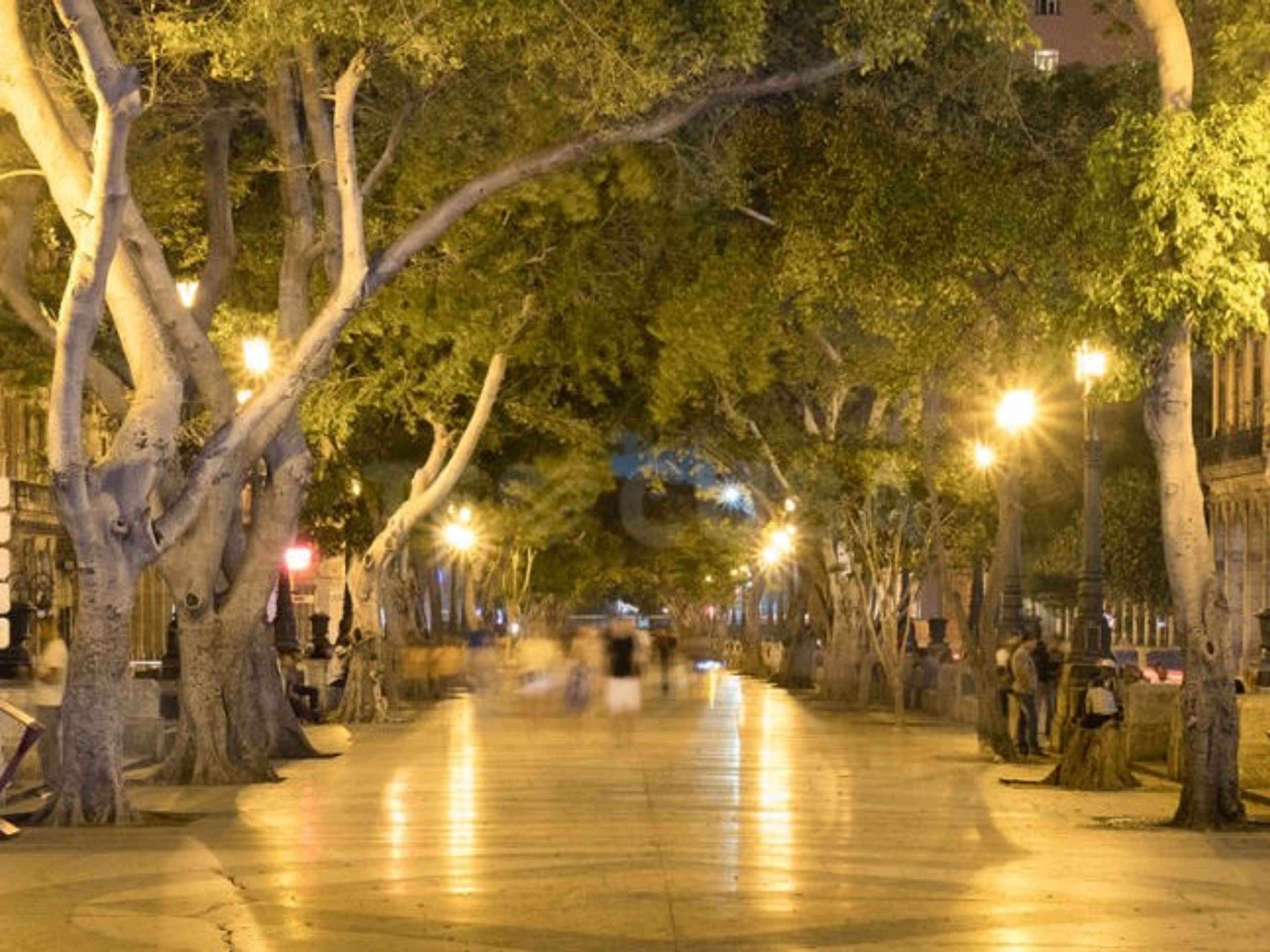 Visite "Siècles de lumière". Paseo del Prado, “Centuries of lights” tour