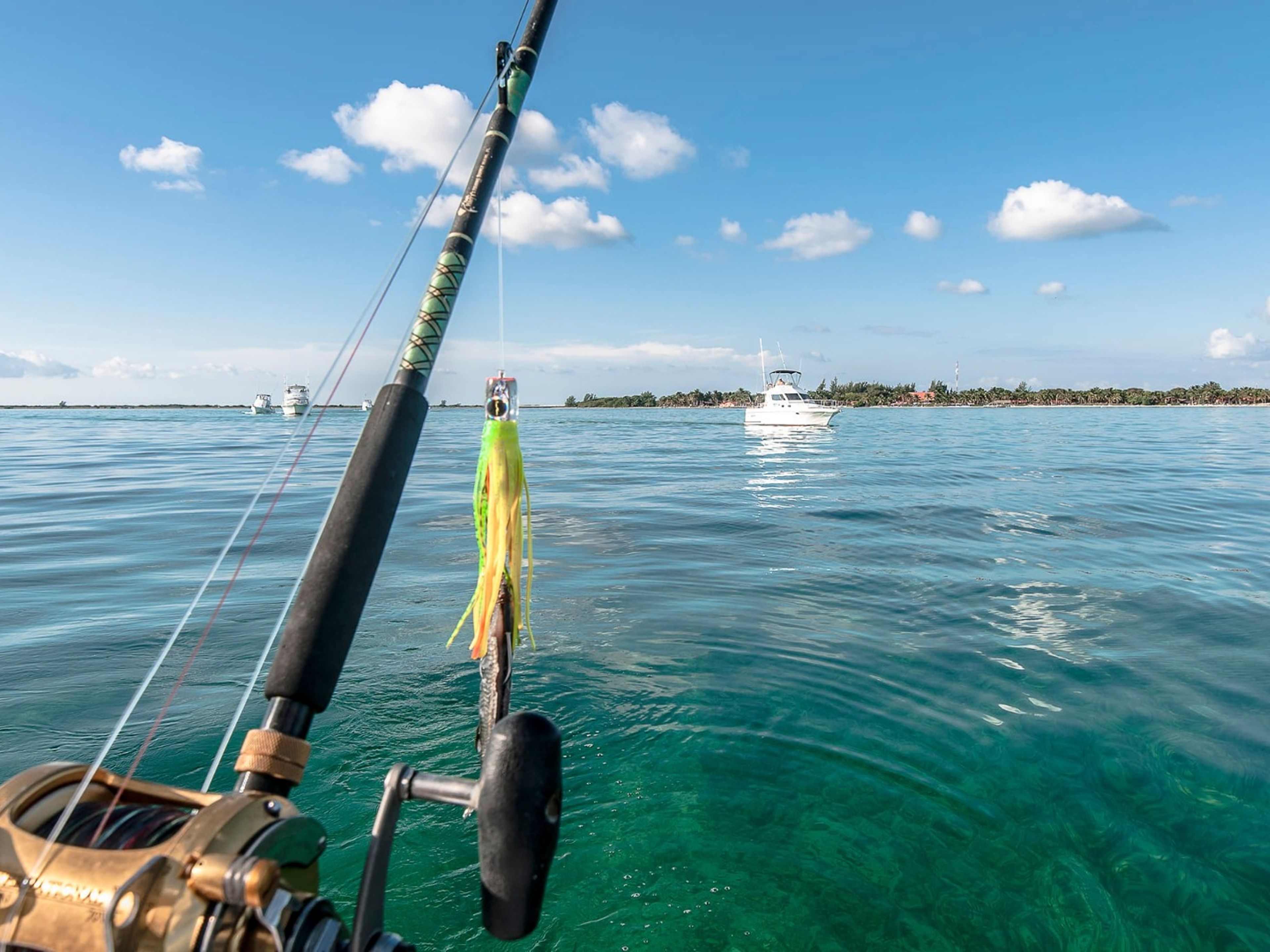 Tour "PESCA D'ALTURA ESCLUSIVA A JARDINES DEL REY (GIORNATA COMPLETA 6 ORE (FINO A 4 PAX)"