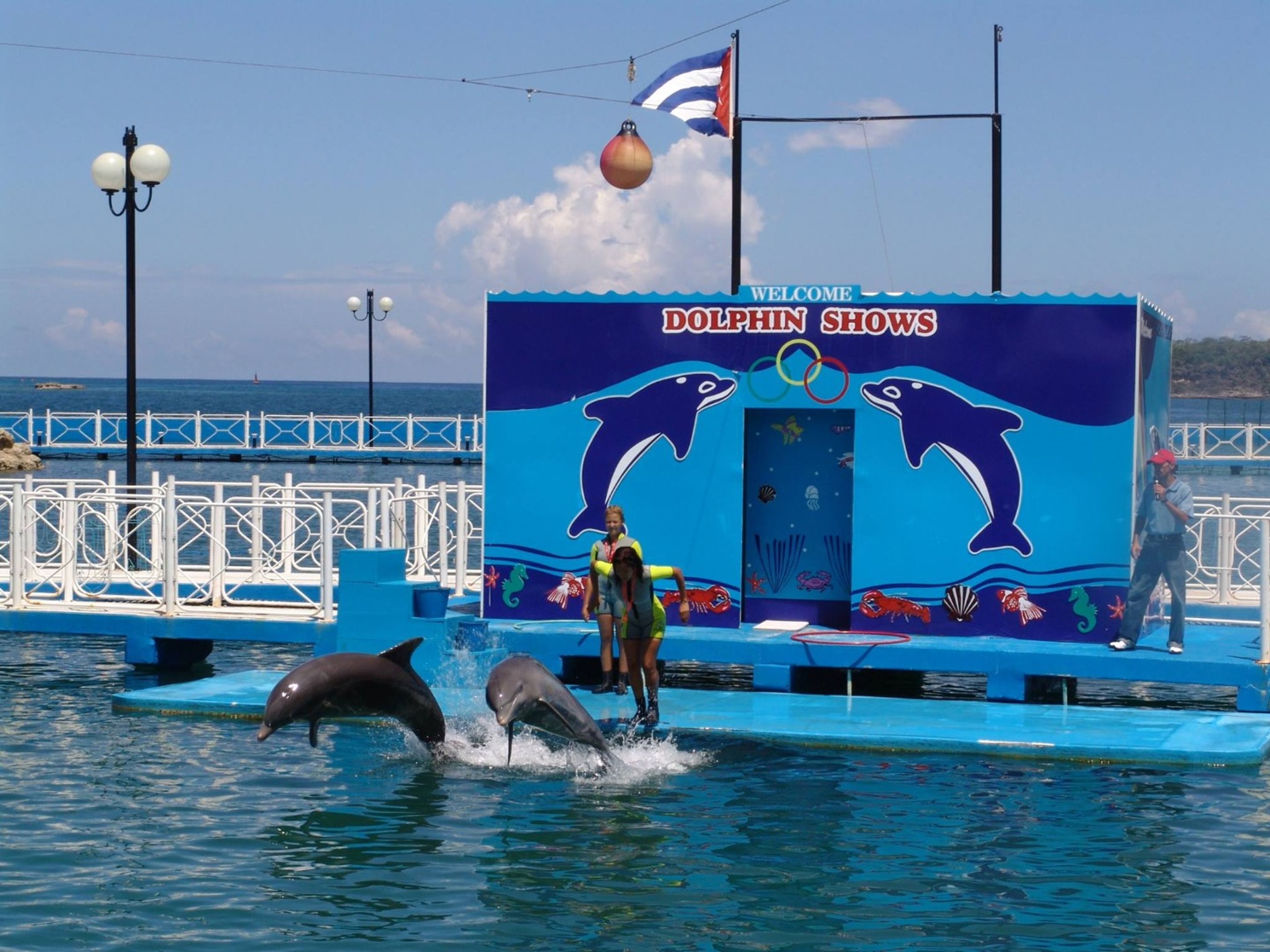 Тур "ПОСЕЩЕНИЕ ДЕЛЬФИНАРИЯ В БАХИЯ ДЕ НАРАНХО". Sea lions and dolphins shows, naranjo Bay Aquarium, Holguin