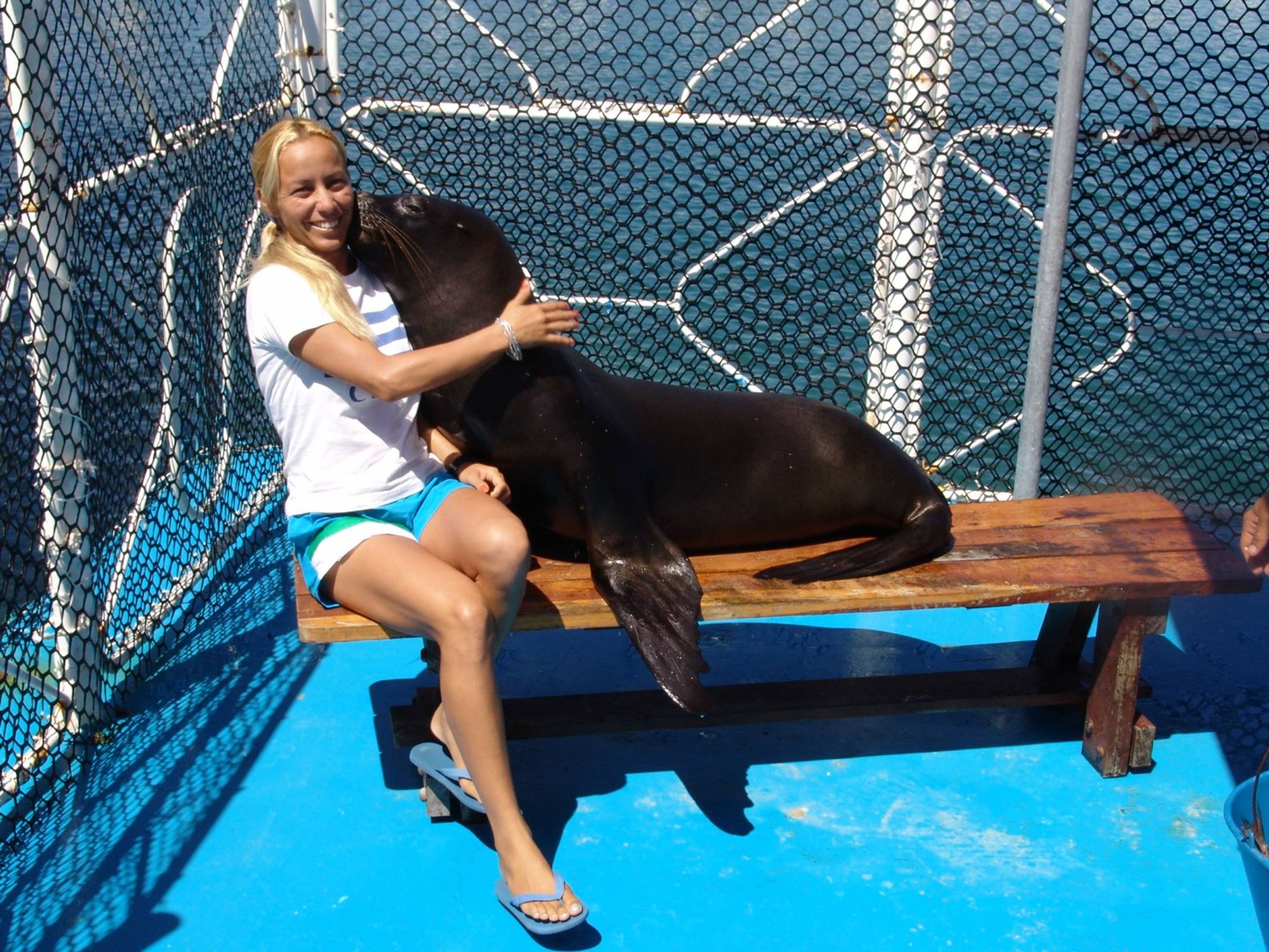 Excursão "VISITA AO DOLPHINARIUM DA BAHIA DE NARANJO". Sea lions and dolphins shows, naranjo Bay Aquarium, Holguin