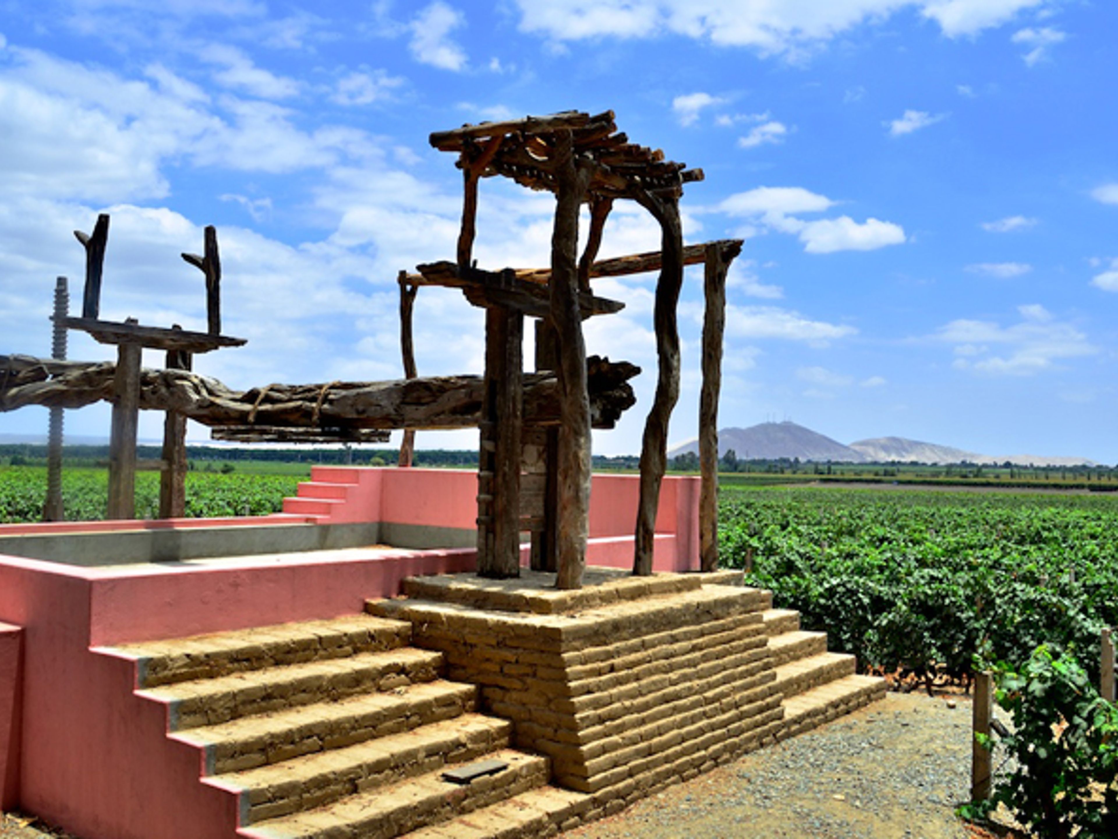 LOCAL WINE TOUR. Local wine tour, Lima, Peru