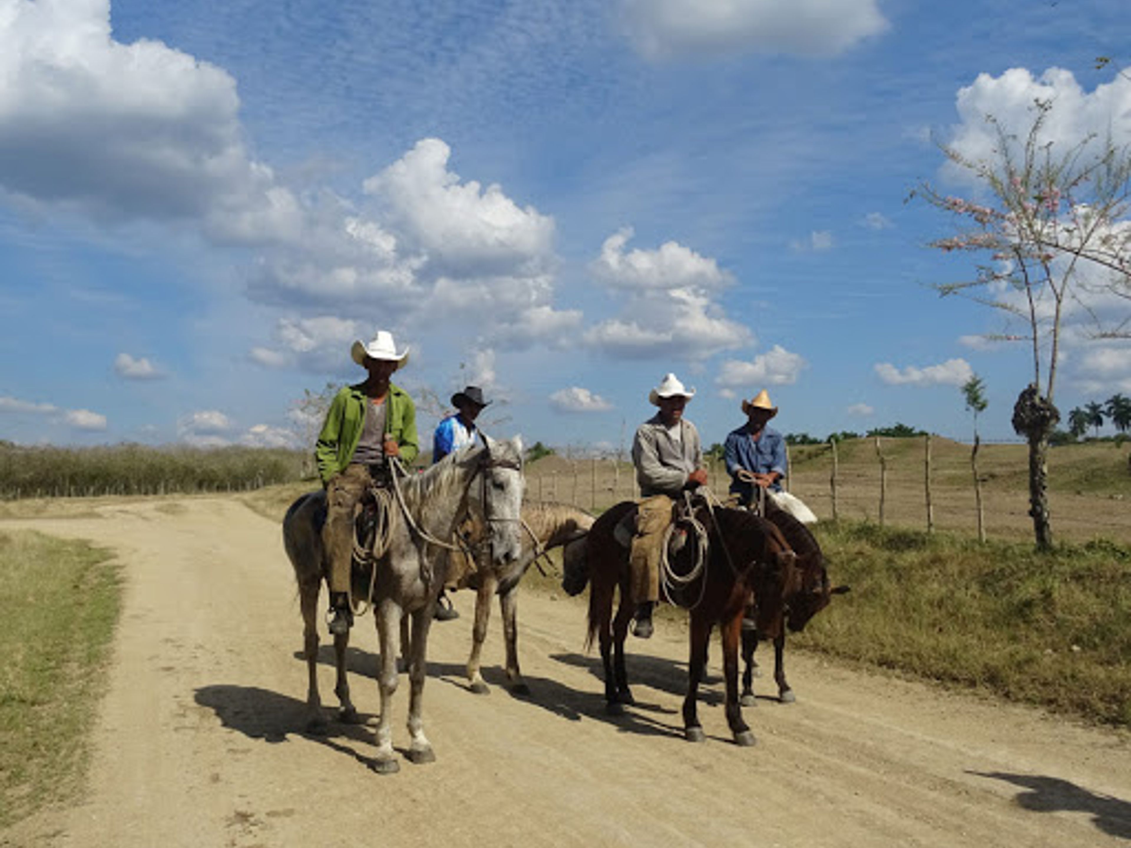 Excursão "OBSERVAÇÃO DE AVES NA QUINTA LA BELEN, SIERRA DEL CHORRILLO". Finca la Belén, Camaguey