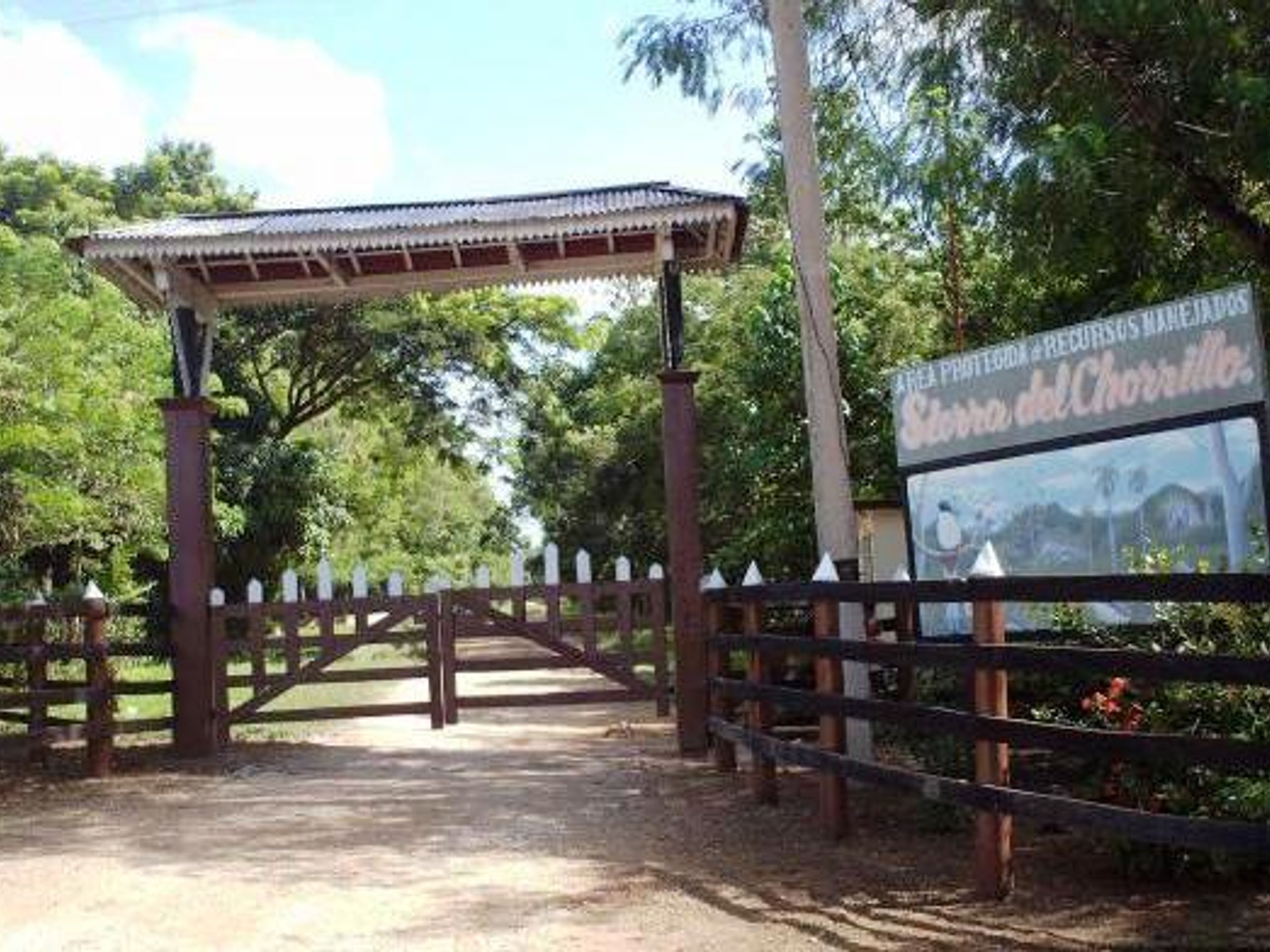 Excursão "OBSERVAÇÃO DE AVES NA QUINTA LA BELEN, SIERRA DEL CHORRILLO". Finca la Belén, Camaguey