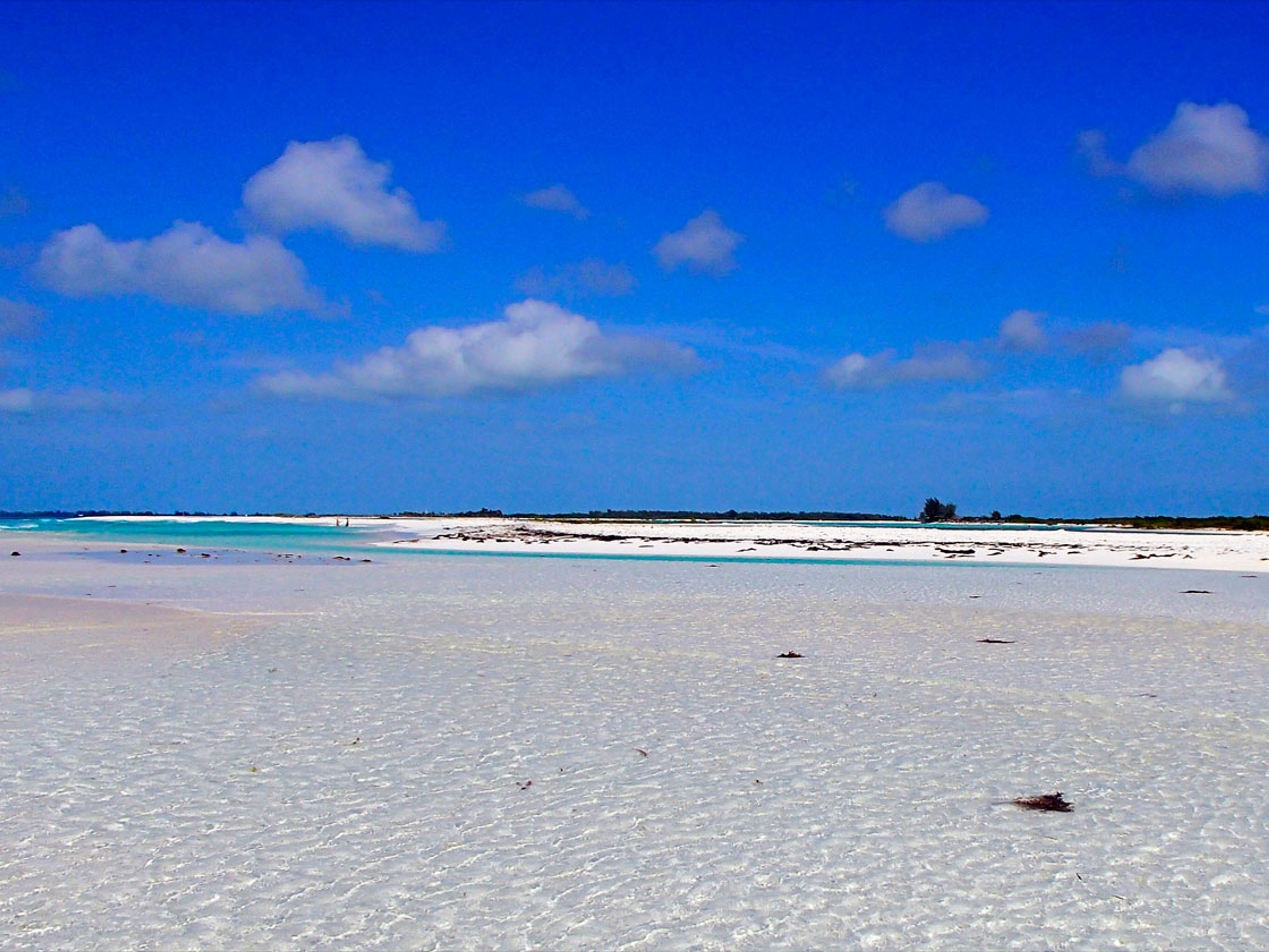 Seafari "SONNENUNTERGANG IN CAYO LARGO DEL SUR". "Sunset in Cayo Largo" Tour