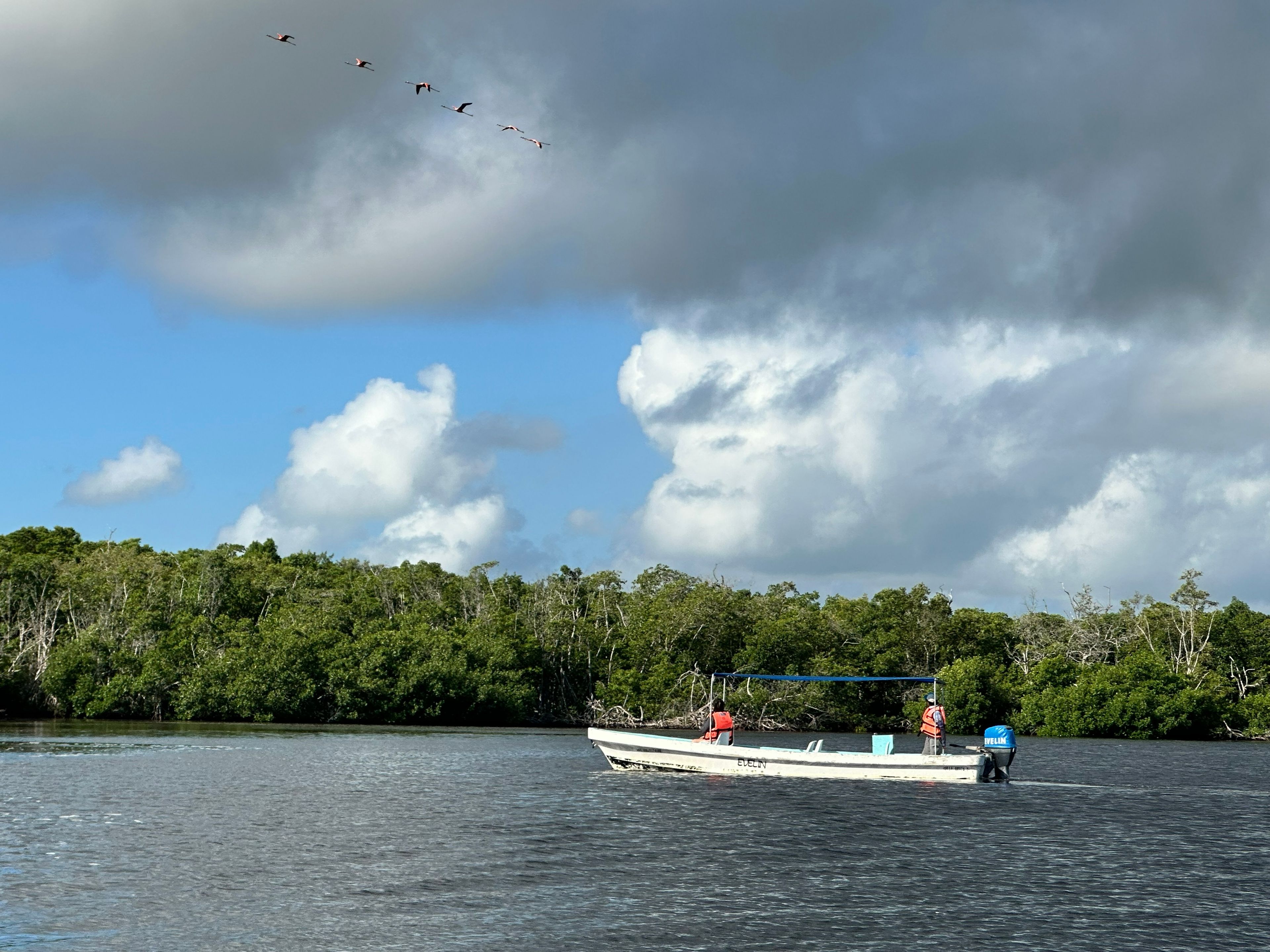 Tур "РИО-ЛАГАРТОС: ЦЕЛЫЙ ДЕНЬ НА ПРИРОДЕ". "RÍO LAGARTOS: A FULL DAY OF NATURE" Tour, Río Lagartos, Yucatán, Mexico