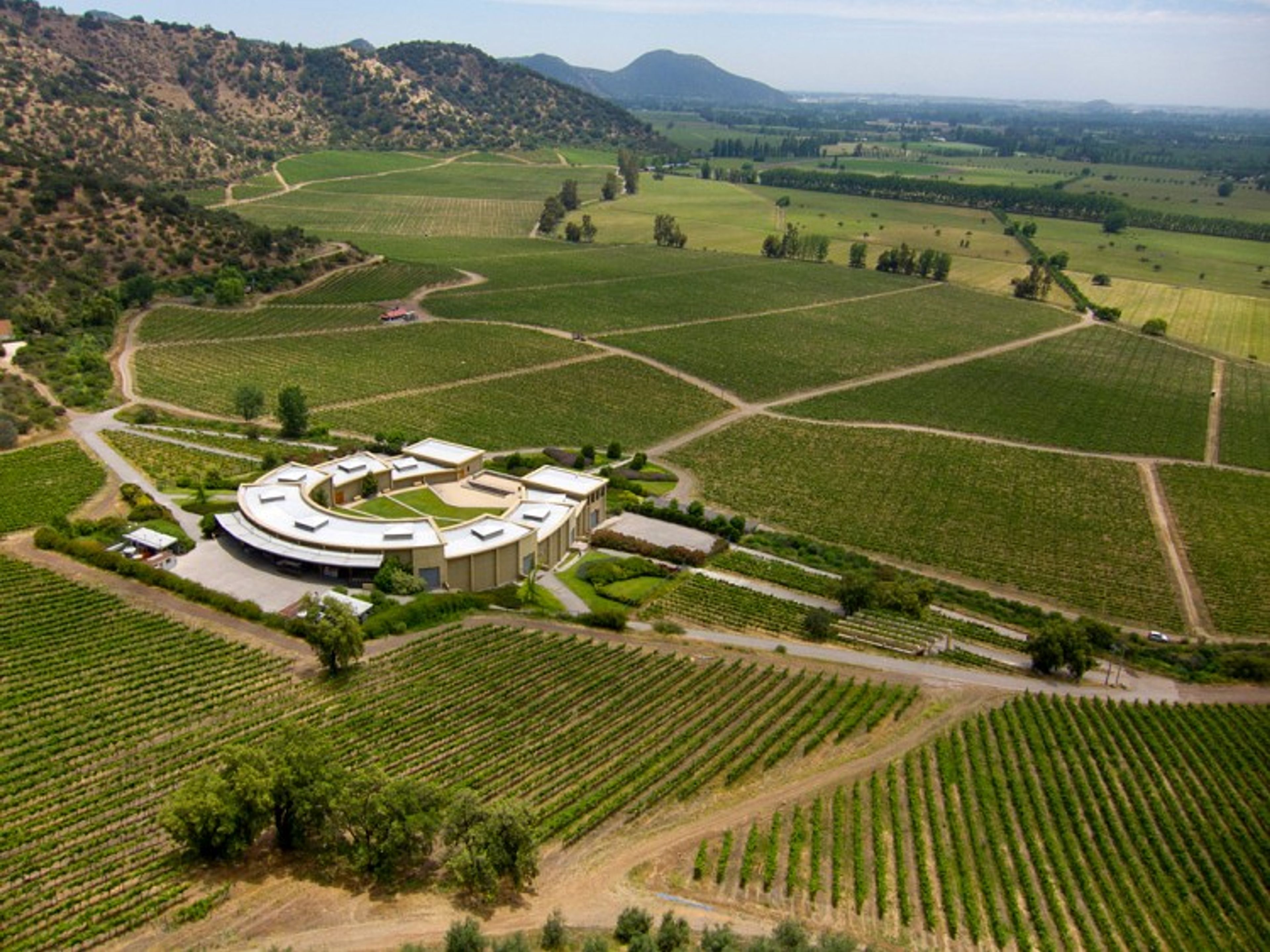 EXCURSÃO “ROTA DO VINHO DO VALE DO MAIPO”.. null