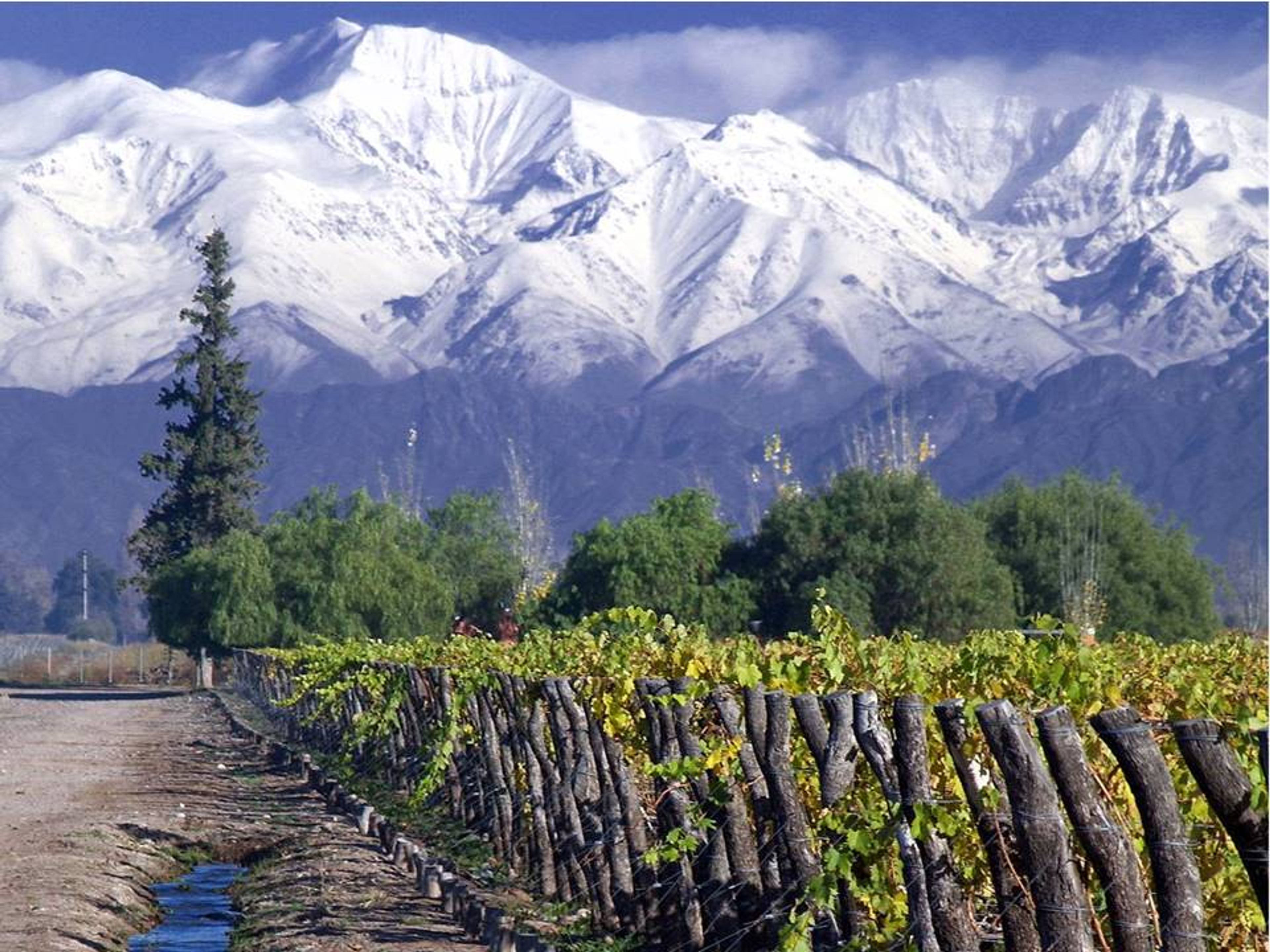 EXCURSÃO “ROTA DO VINHO DO VALE DO MAIPO”.