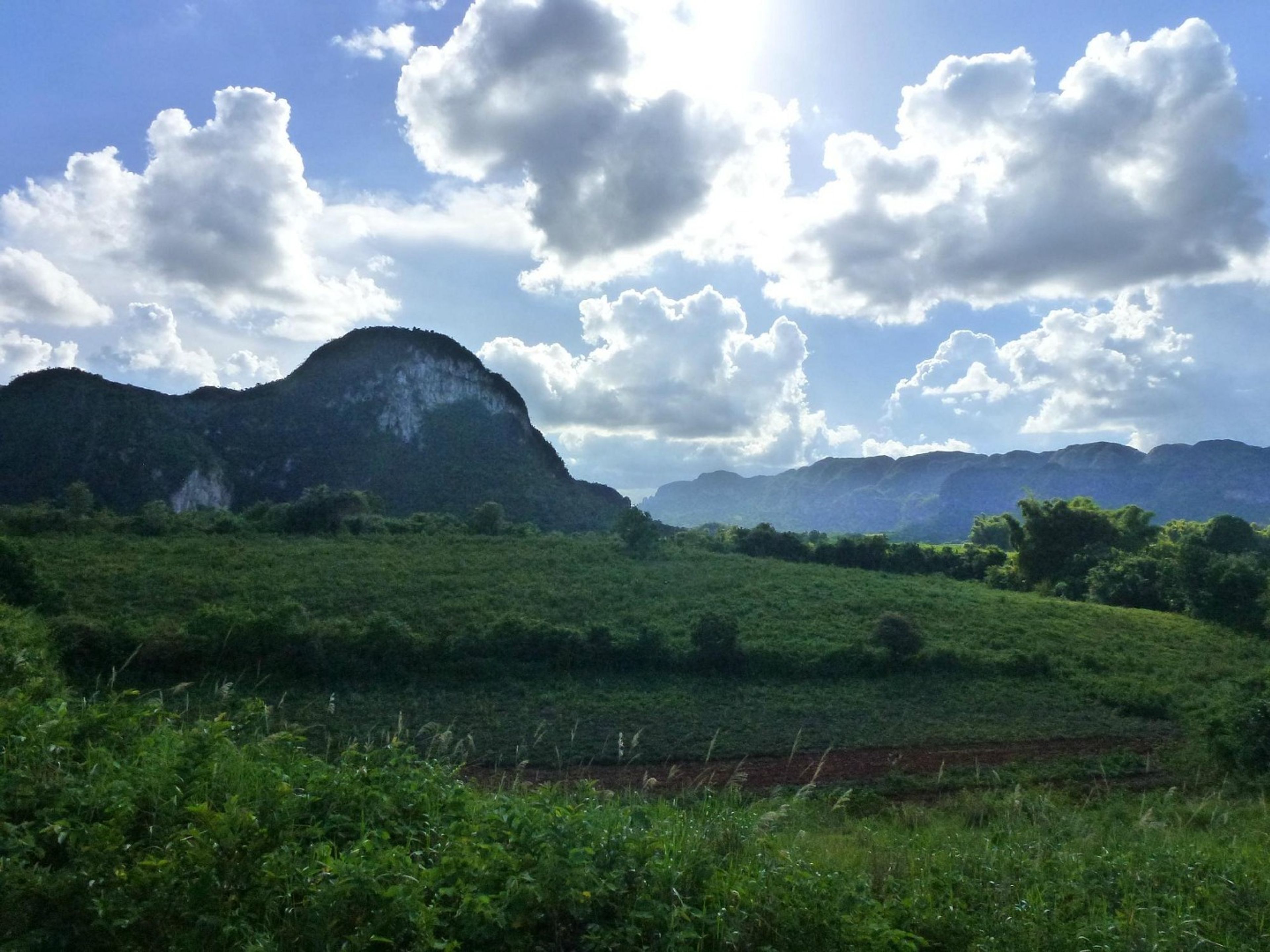 Tур "ТРОПА ПЕЙЗАЖИ ДОЛИНЫ ВИНЯЛЕС". “THE LANDSCAPES IN THE VIÑALES VALLEY TRAIL” Tour, Viñales, Pinar del Río, Cuba.
