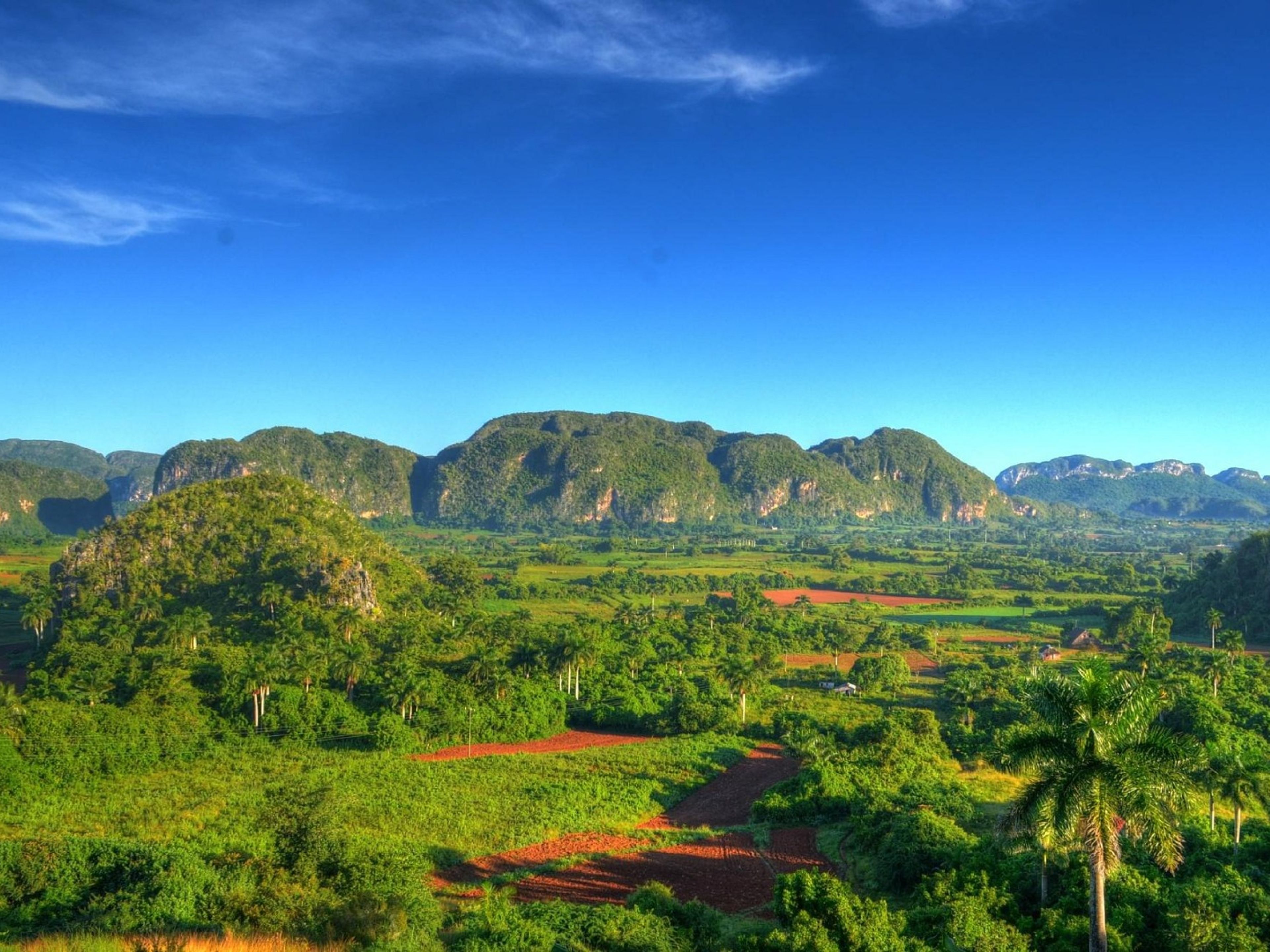 Tour "SENTIERO I PAESAGGI DELLA VALLE DI VIÑALES". “THE LANDSCAPES IN THE VIÑALES VALLEY TRAIL” Tour, Viñales, Pinar del Río, Cuba.