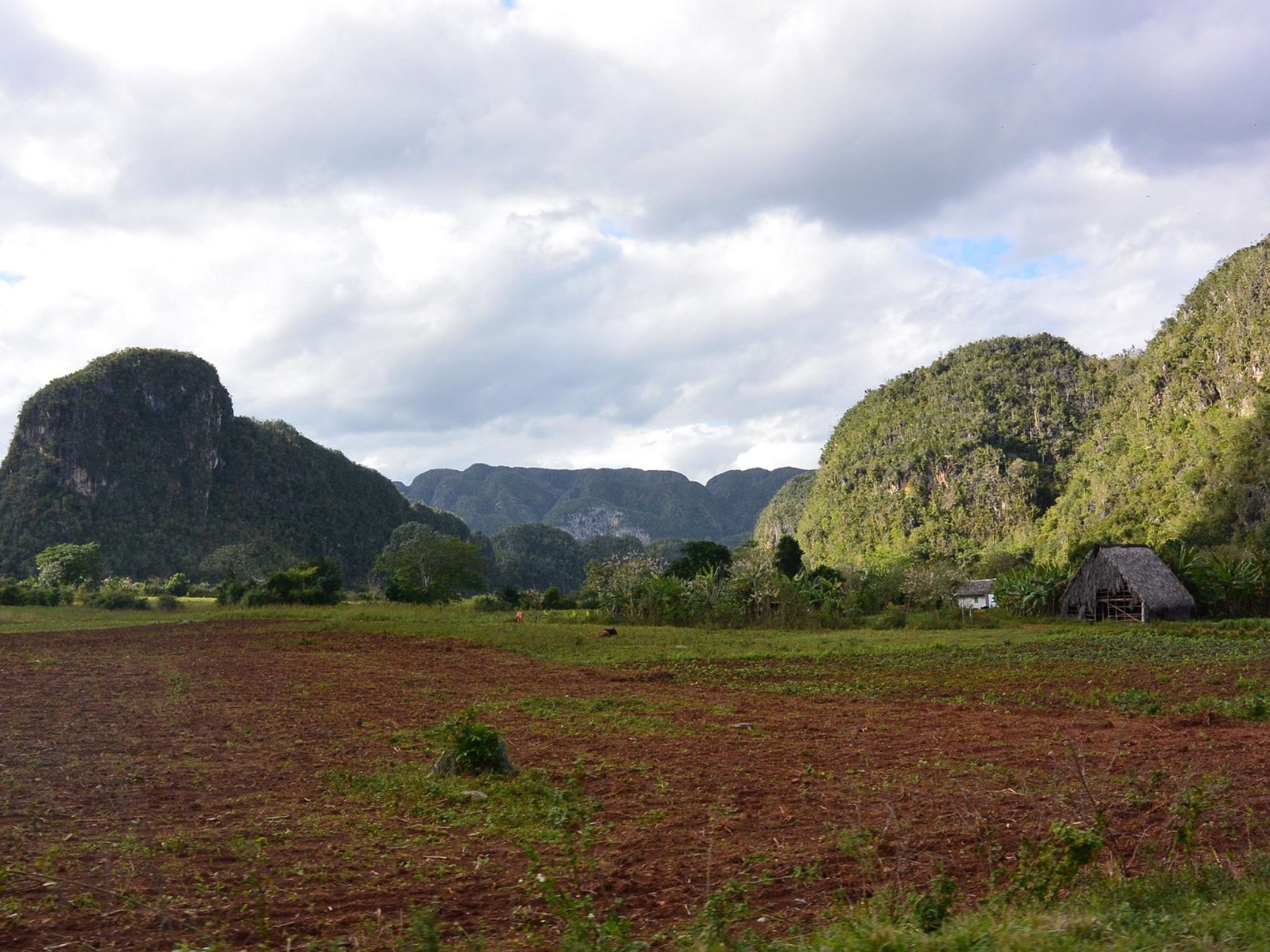 Tour "SENTIERO I PAESAGGI DELLA VALLE DI VIÑALES"