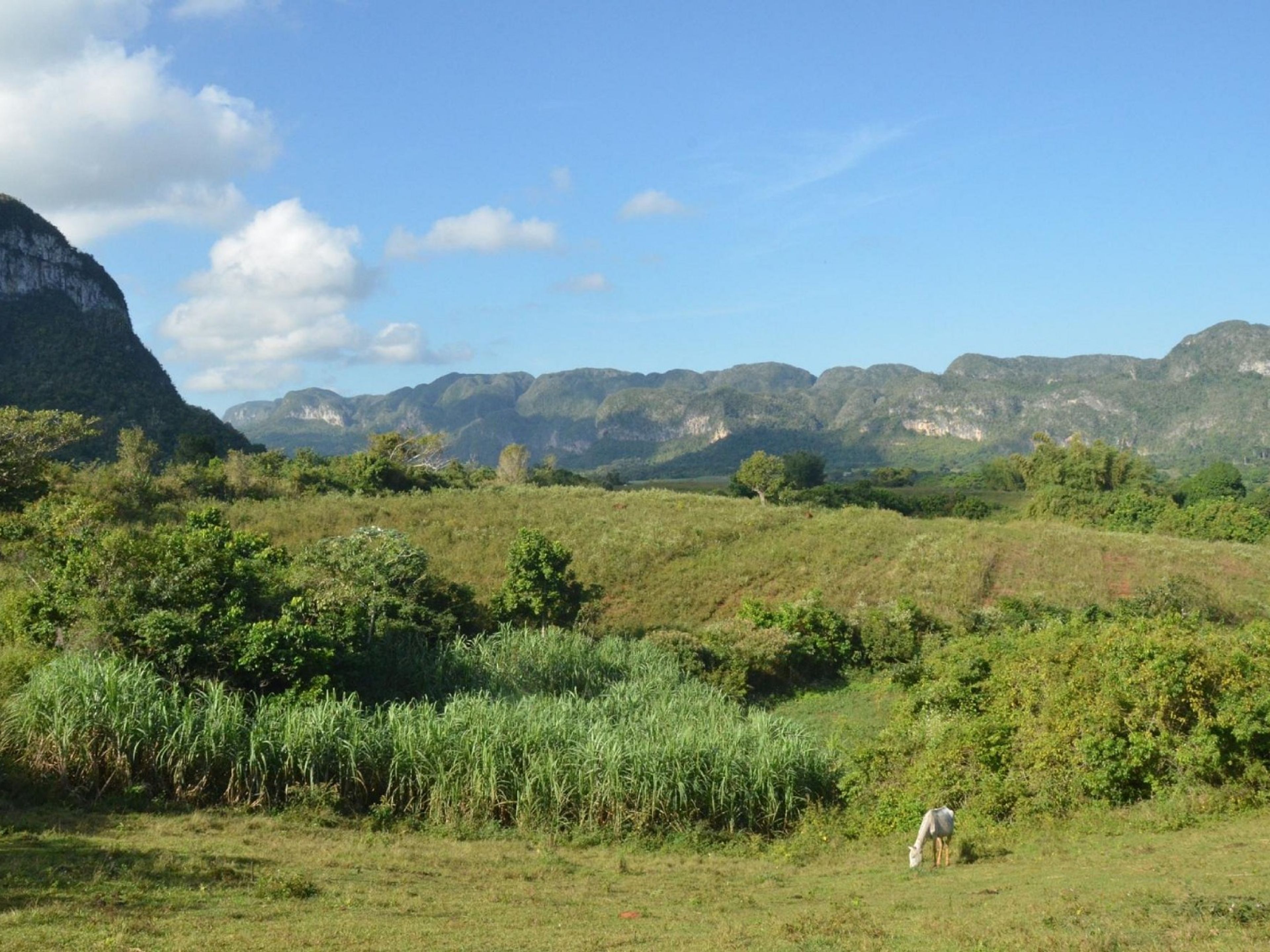 Tour "SENTIERO I PAESAGGI DELLA VALLE DI VIÑALES". “THE LANDSCAPES IN THE VIÑALES VALLEY TRAIL” Tour, Viñales, Pinar del Río, Cuba.