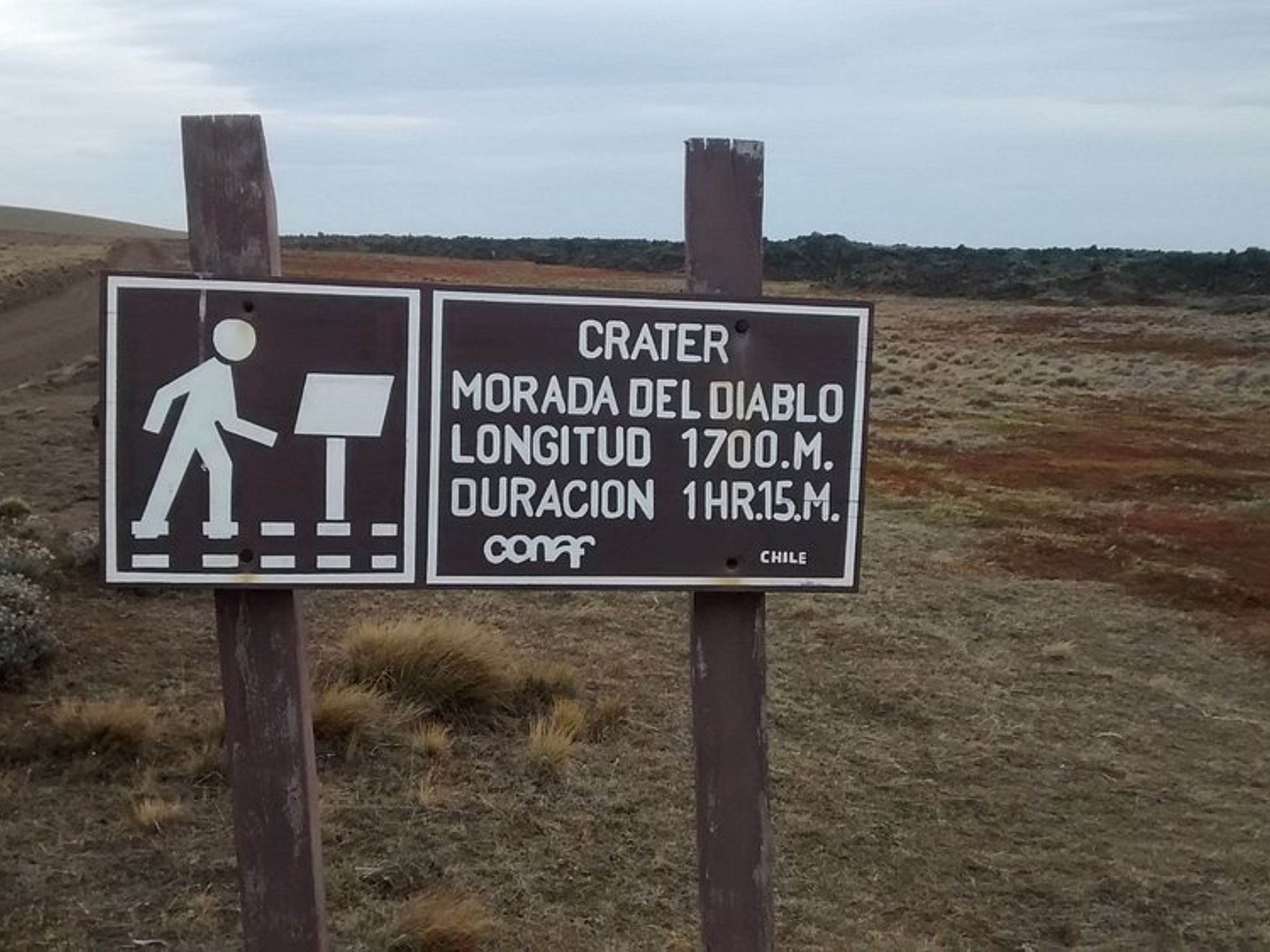 "GANZTAGESTOUR ZUM NATIONALPARK PALI AIKE" Tour. "FULL DAY TO PALI AIKE NATIONAL PARK" Tour, Punta Arenas, Chile.