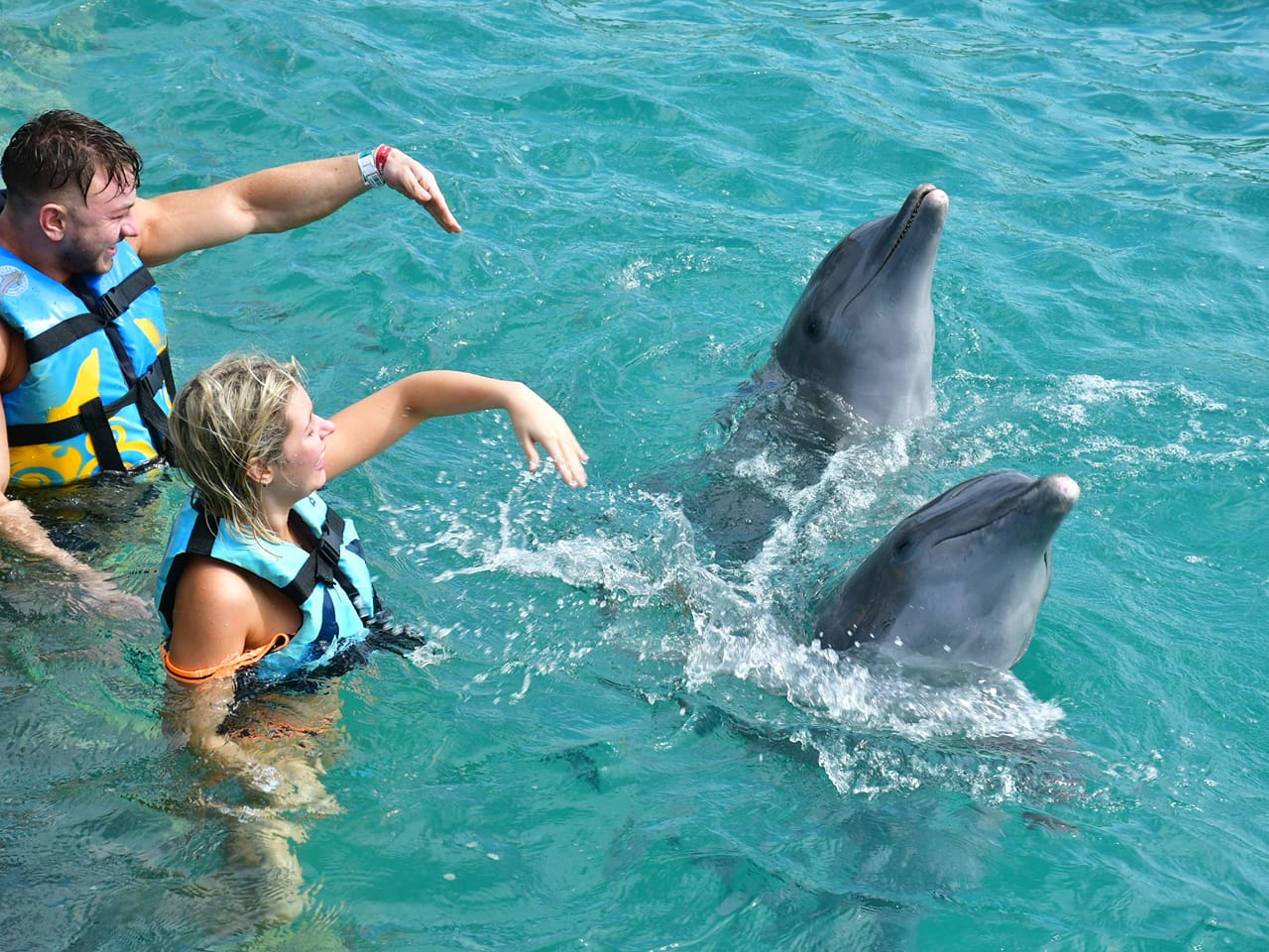 Tour "Nage royale des dauphins à Isla Mujeres". "Dolphins Royal Swim in Isla Mujeres" Tour