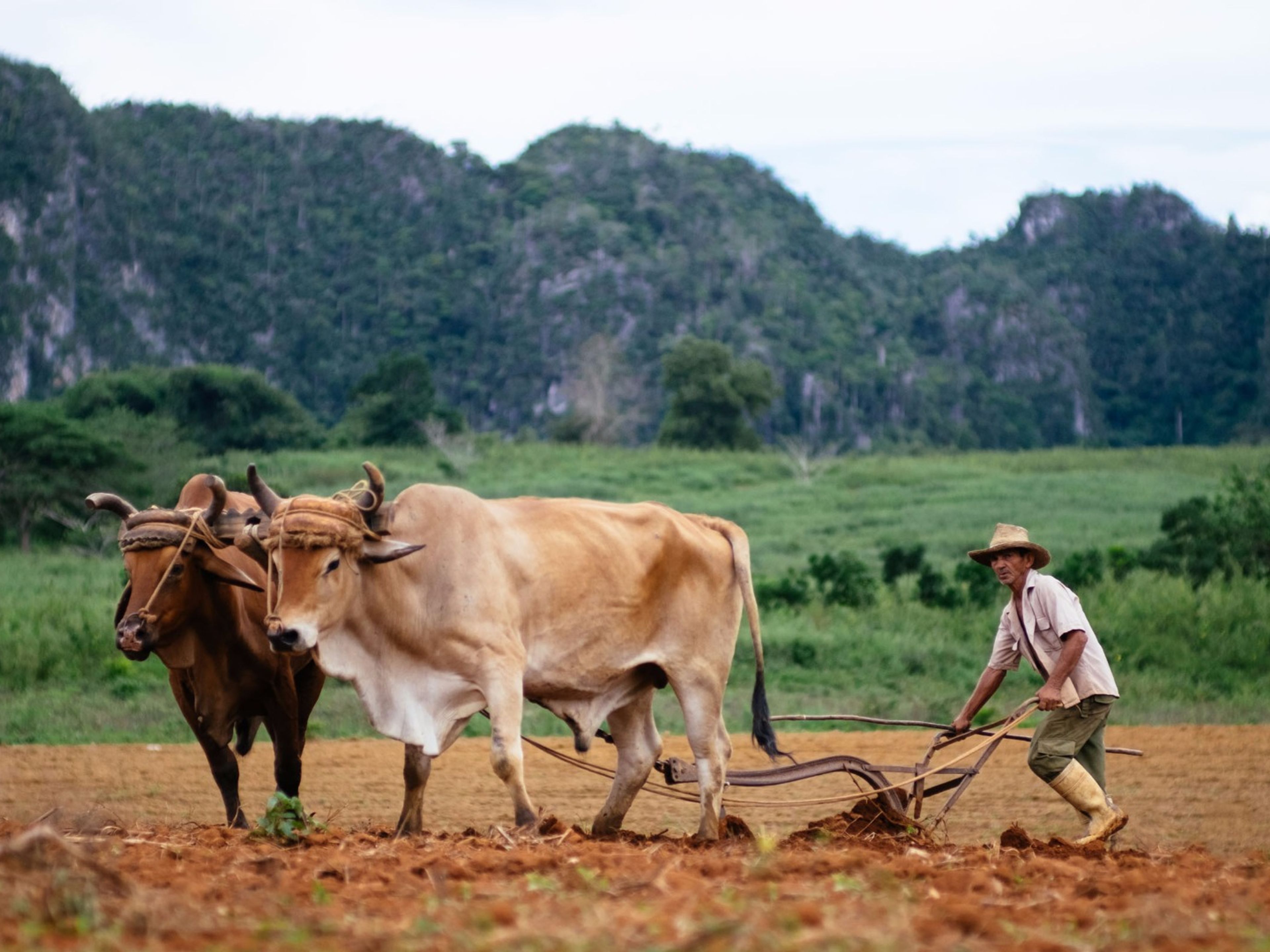 Excursión Privada Overnigt “La Habana - Pinar del Río - Viñales”