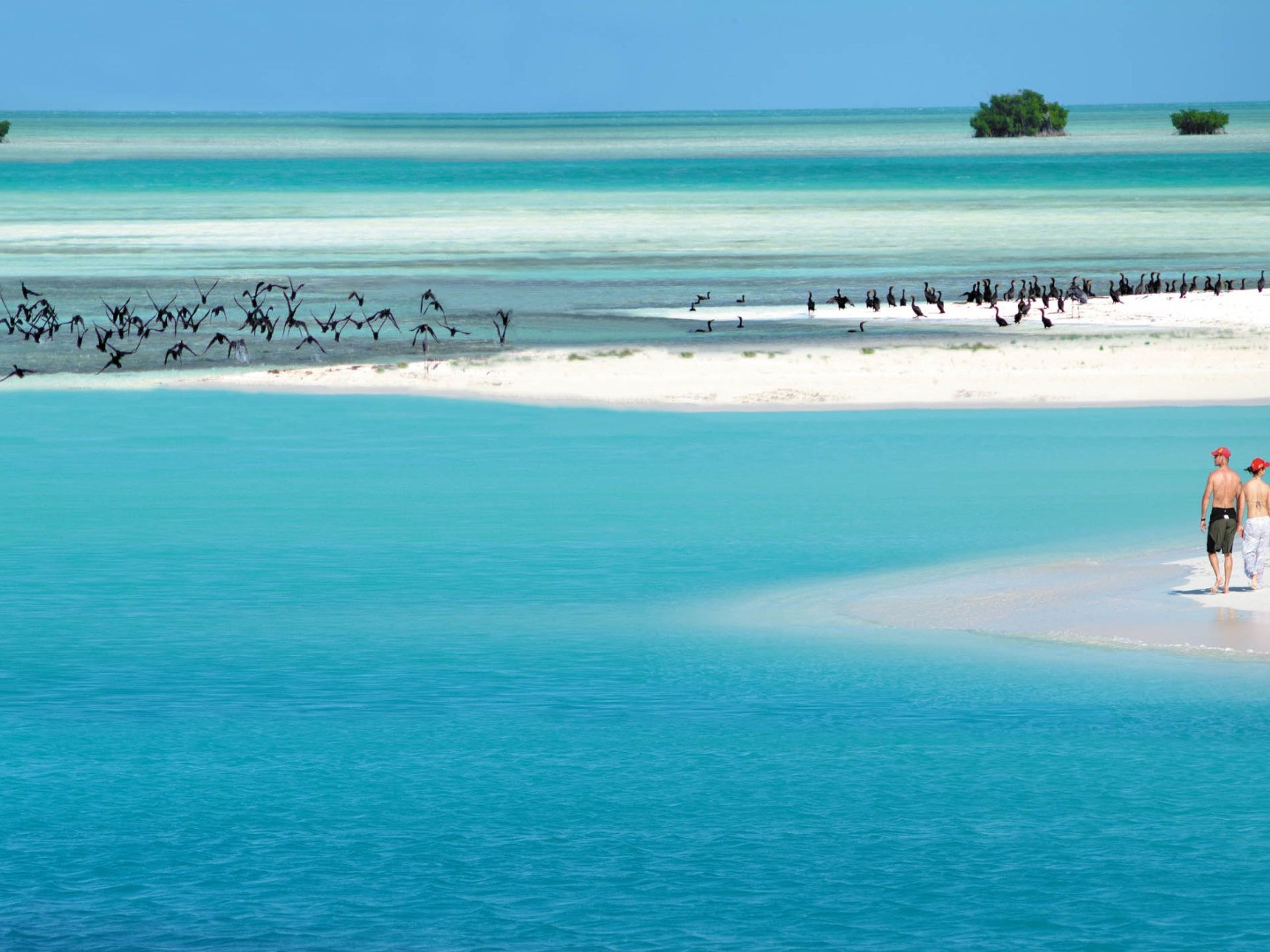 Excursão “CAYO LARGO DEL SUR”. Playa Paraíso panoramic beach view