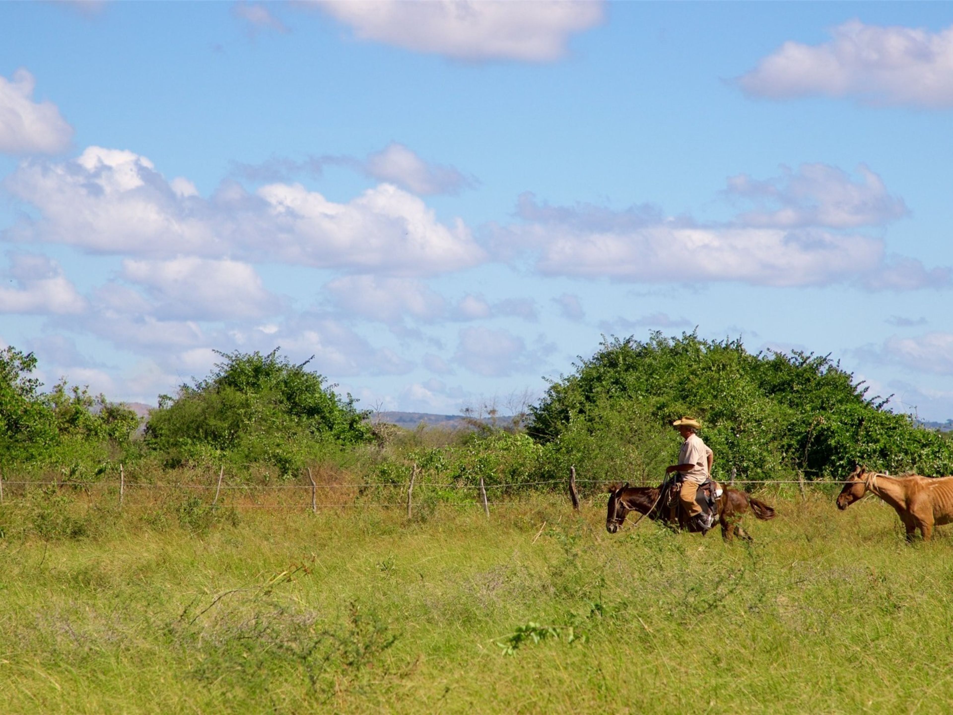 Велосипедный тур "ТРОПА ЭЛЬ-ПИЛОН". Valle de los Ingenios, (Valley de los Ingenios or Valley of the Sugar Mills) panoramic view, Trinidad, Sancti Spíritus, Cuba.