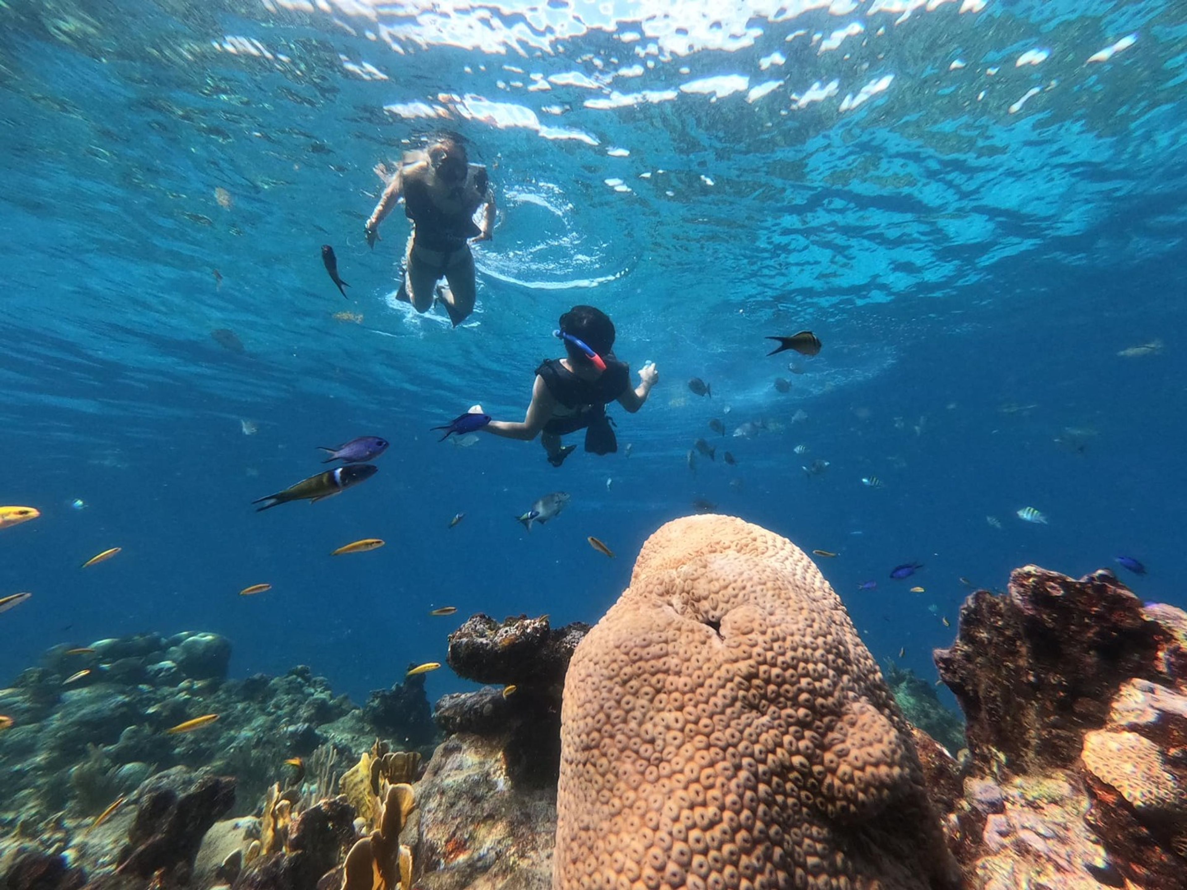 “SNORKELING TO PLAYA CORAL AND SATURNO CAVE” Tour. “SNORKELING TO PLAYA CORAL AND SATURNO CAVE” Tour, Matanzas, Cuba.