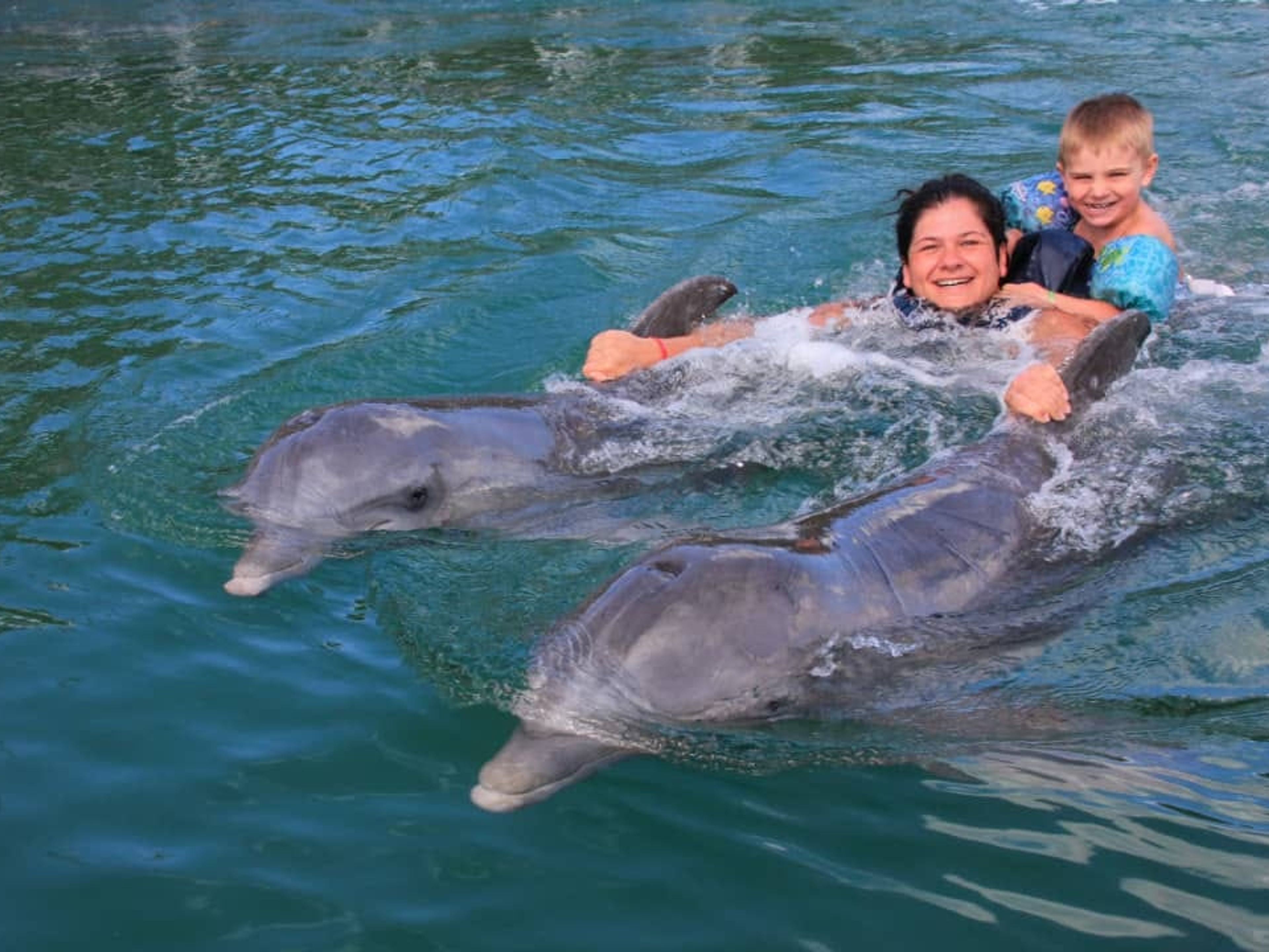 Tour "SPETTACOLO DI DELFINI AL DELFINARIO DI VARADERO". “DOLPHIN SHOW AT THE VARADERO DOLPHINARIUM” Tour