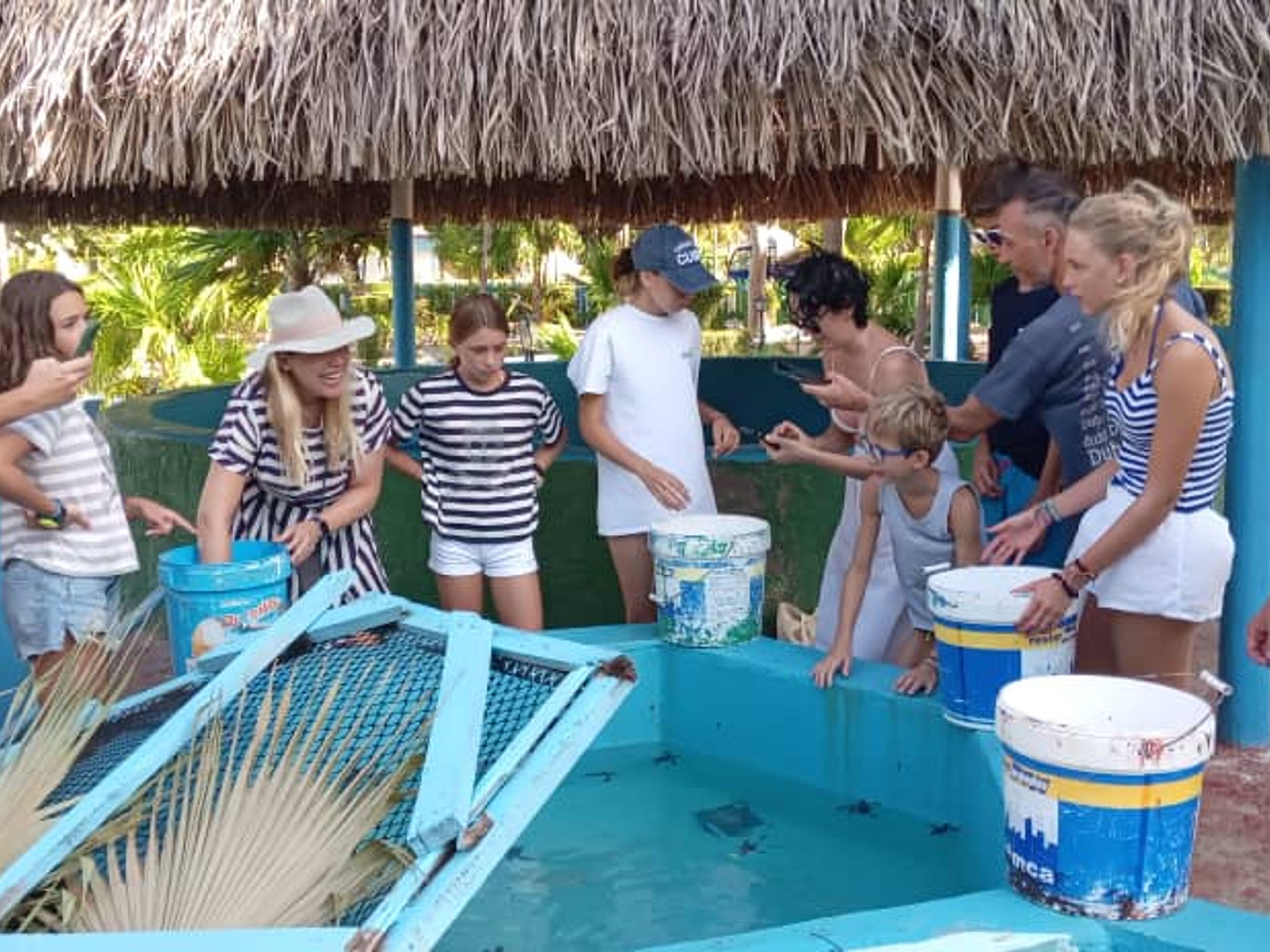 "FREILASSUNG VON SCHILDKRÖTENBRÜTERN" Tour. "RELEASE OF TURTLE HATCHLINGS" Tour