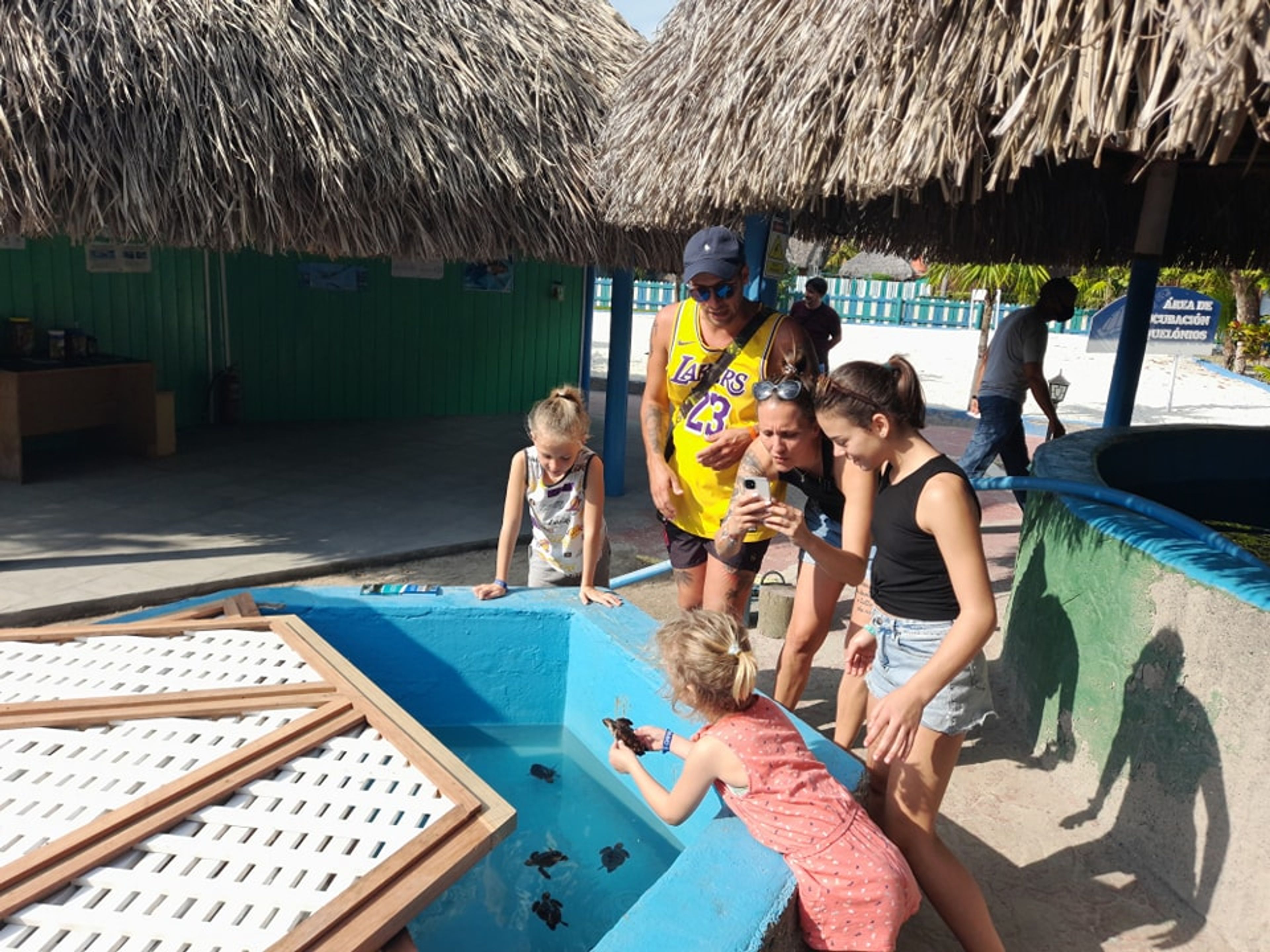 Tour "LIBÉRATION DES TORTUES ÉCLOSES". "RELEASE OF TURTLE HATCHLINGS" Tour