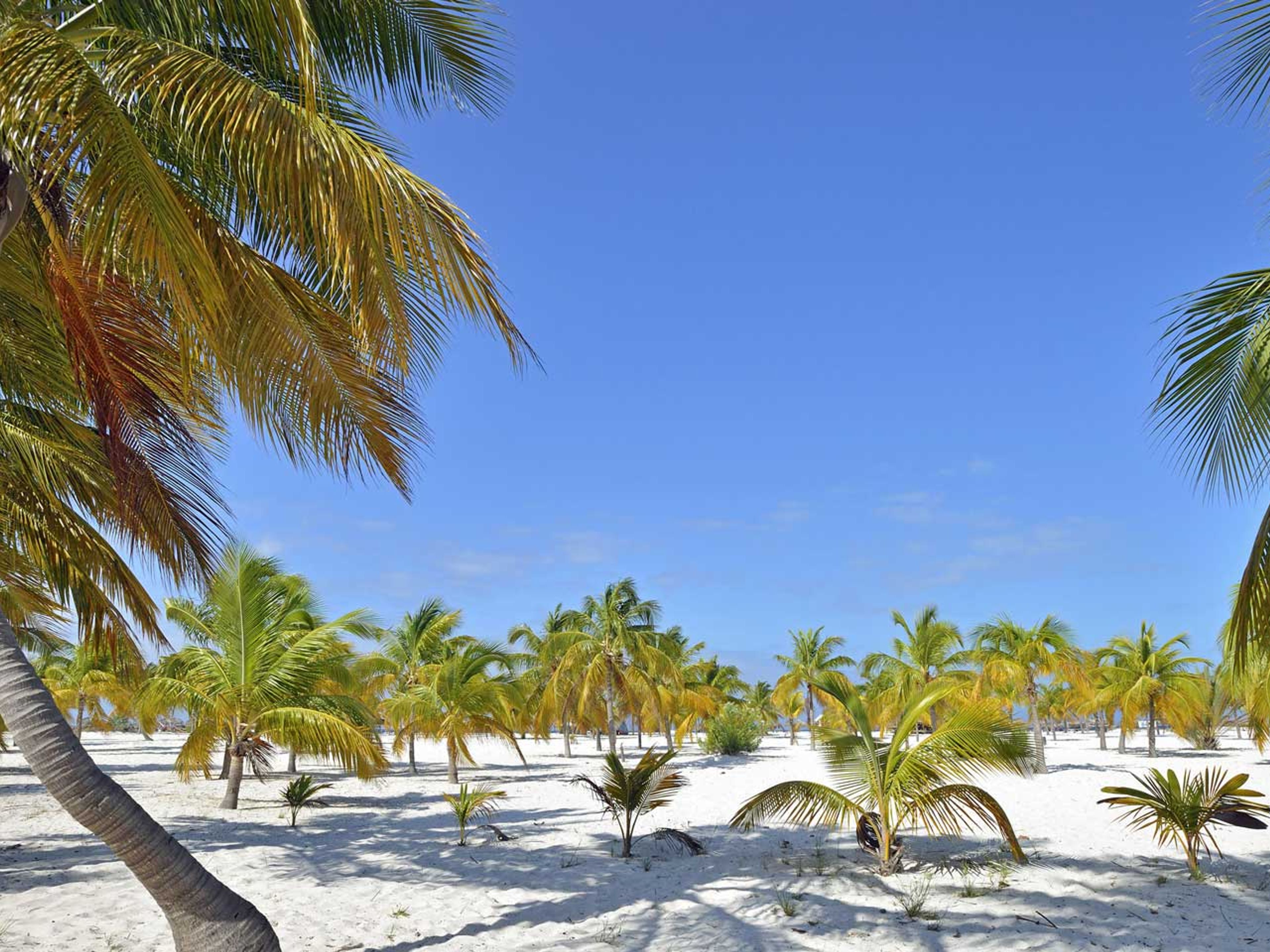 “Karibische Nacht Spezial Dinner” Tour. Playa Sirena panoramic view, Cayo Largo del Sur, “Caribbean Night Special Dinner” Tour
