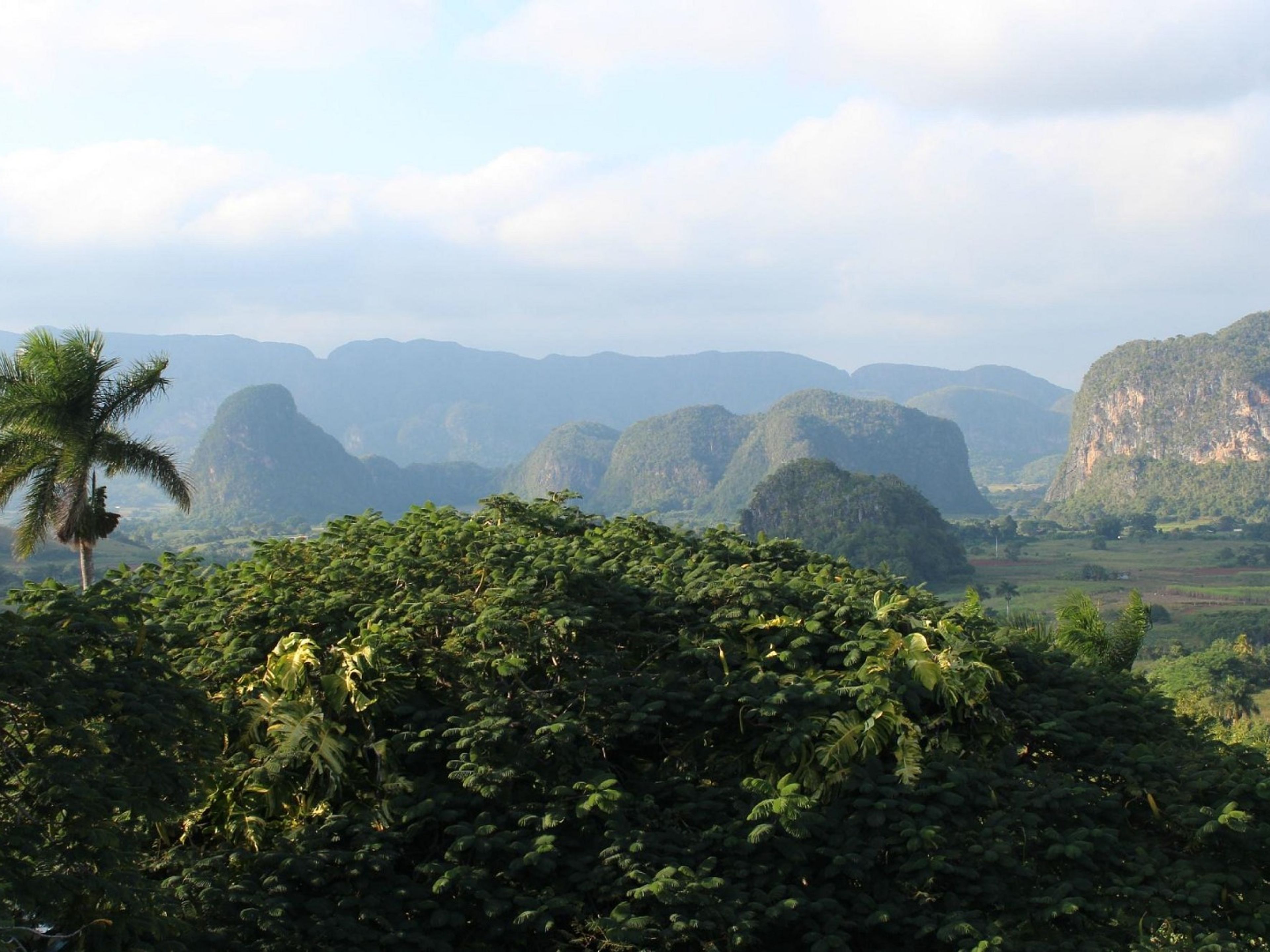 Tур "ЗАХОД СОЛНЦА В ДОЛИНЕ ВИНЯЛЕС". “SUNSET EXPERIENCE IN THE VIÑALES VALLEY” Tour, Viñales Valley, Pinar del Río, Cuba.