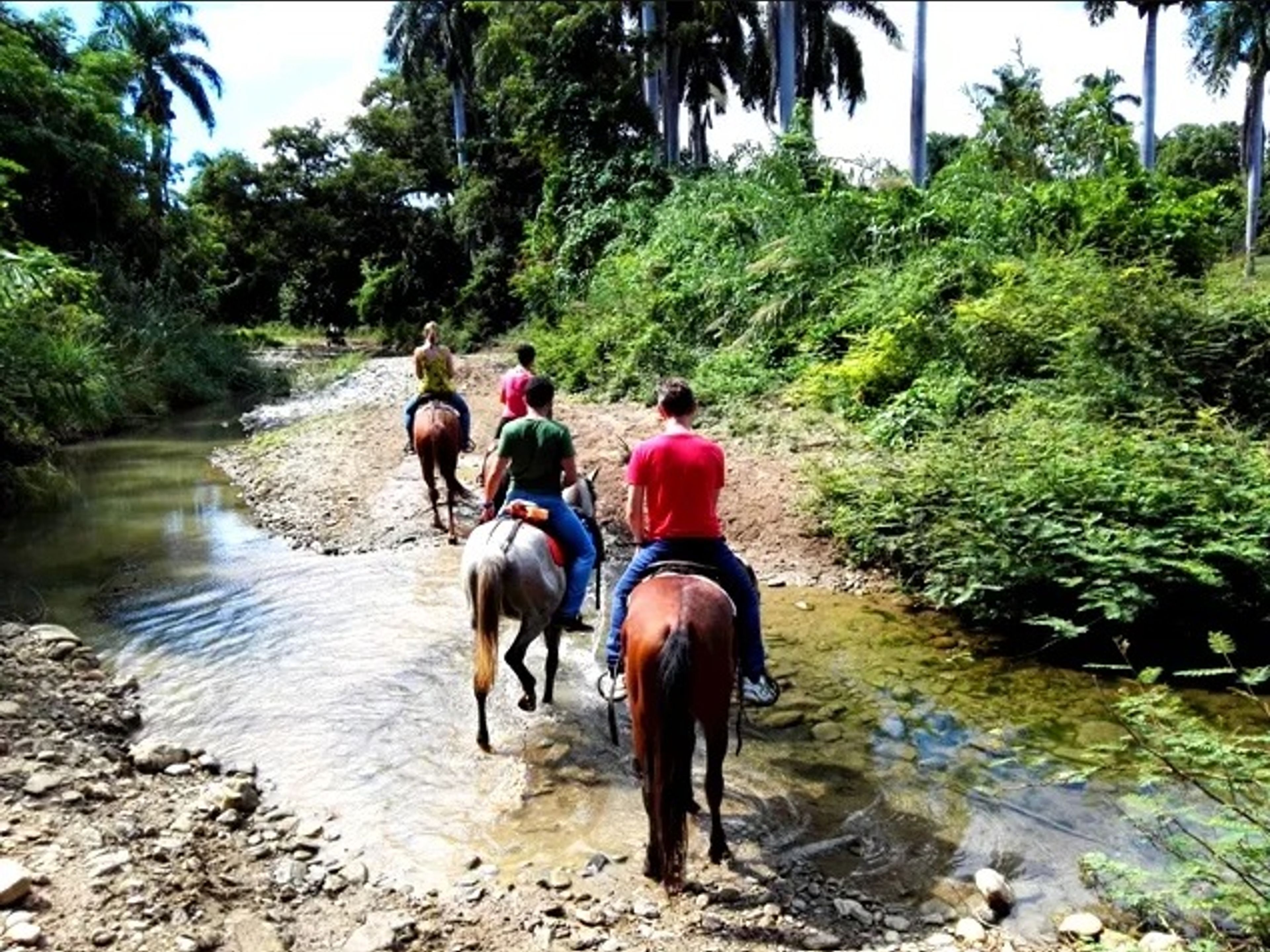 Jeep Safari "PASSEGGIATE A CAVALLO NELLA VALLE DE LOS INGENIOS". Jeep Safari "HORSEBACK RIDING IN THE SUGAR MILL VALLEY", Trinidad, Sancti Spíritus, Cuba.