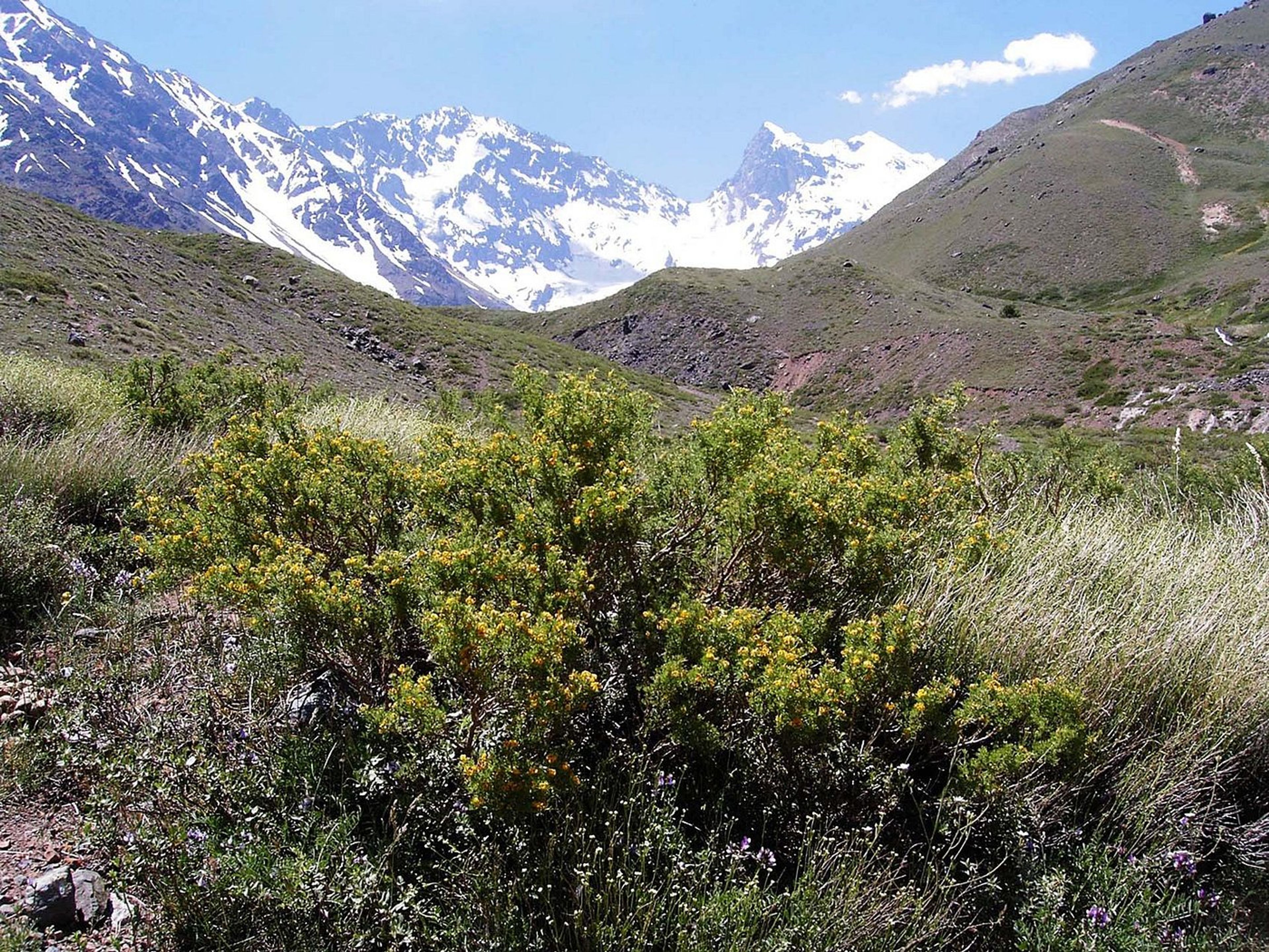 Tур "ПОСЕЩЕНИЕ НАЦИОНАЛЬНОГО ПАРКА ЭЛЬ МОРАДО". “VISIT TO EL MORADO NATIONAL PARK” Tour, Chile.